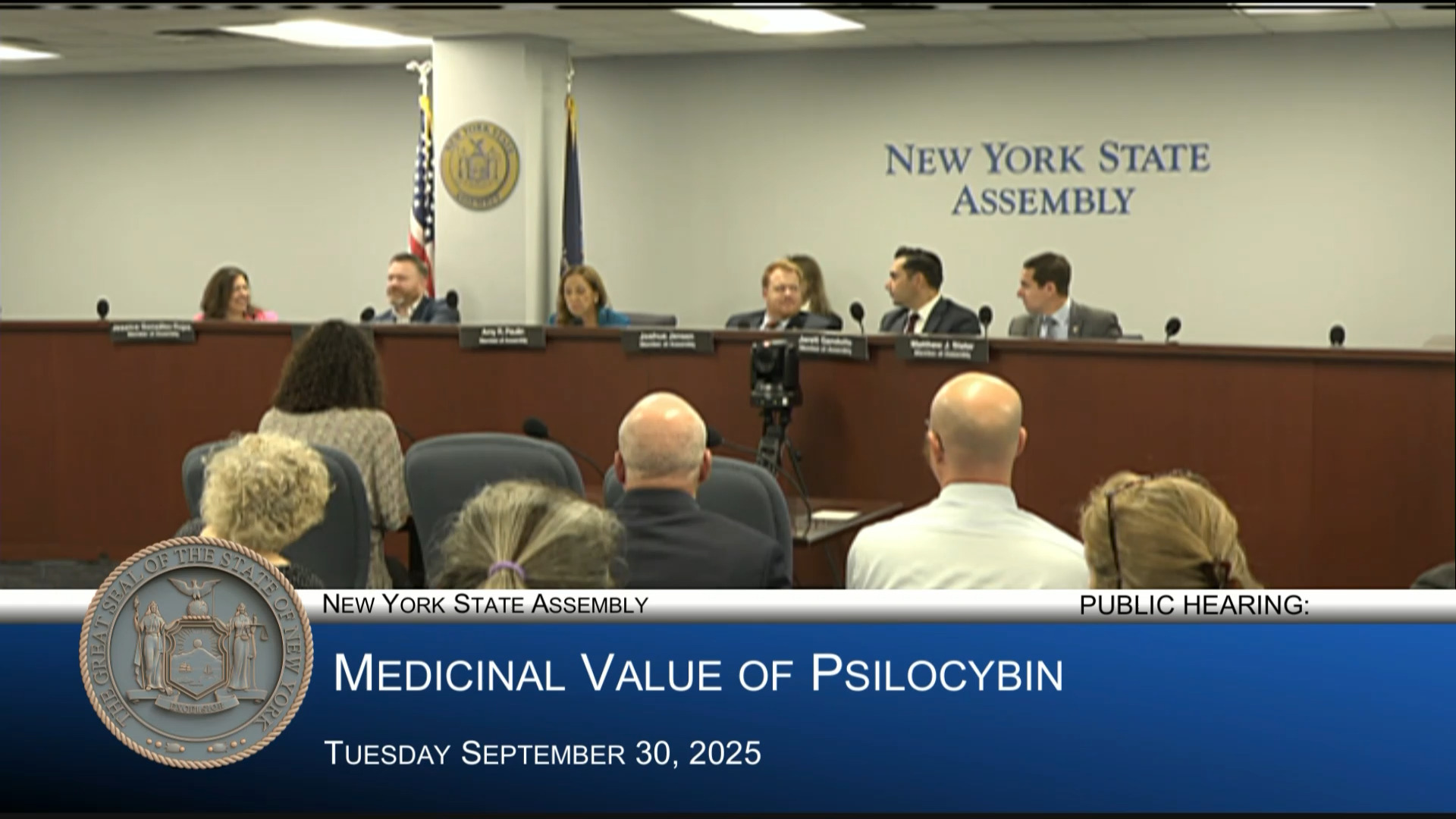Paulin Chairs Public Hearing on Medicinal Value and Risks of Psilocybin