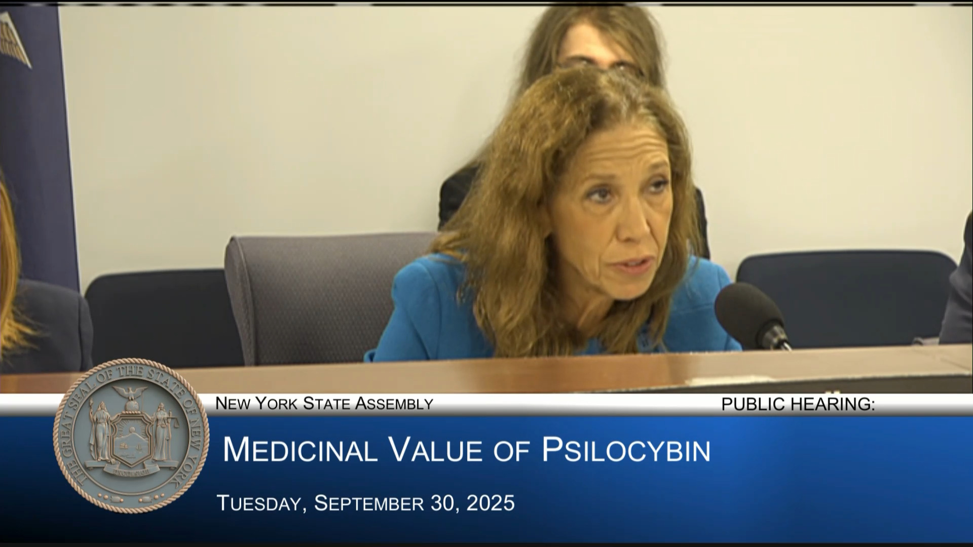 Medical Professionals Testify at Public Hearing on Medicinal Value and Risks of Psilocybin