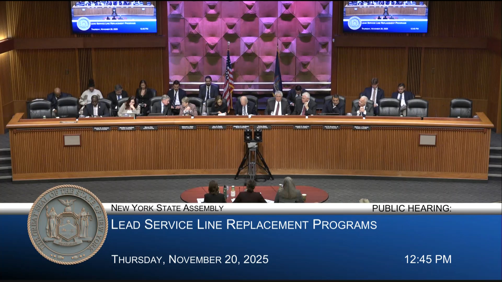 Paulin Co-Chairs Public Hearing Examining New York’s Lead Service Line Replacement Program