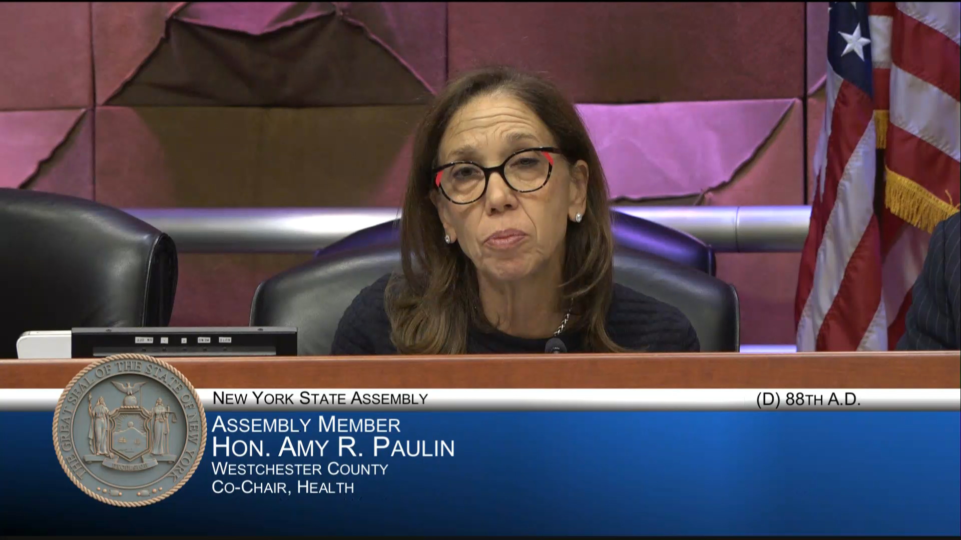 Local Officials Testify at Public Hearing Examining New York’s Lead Service Line Replacement Program