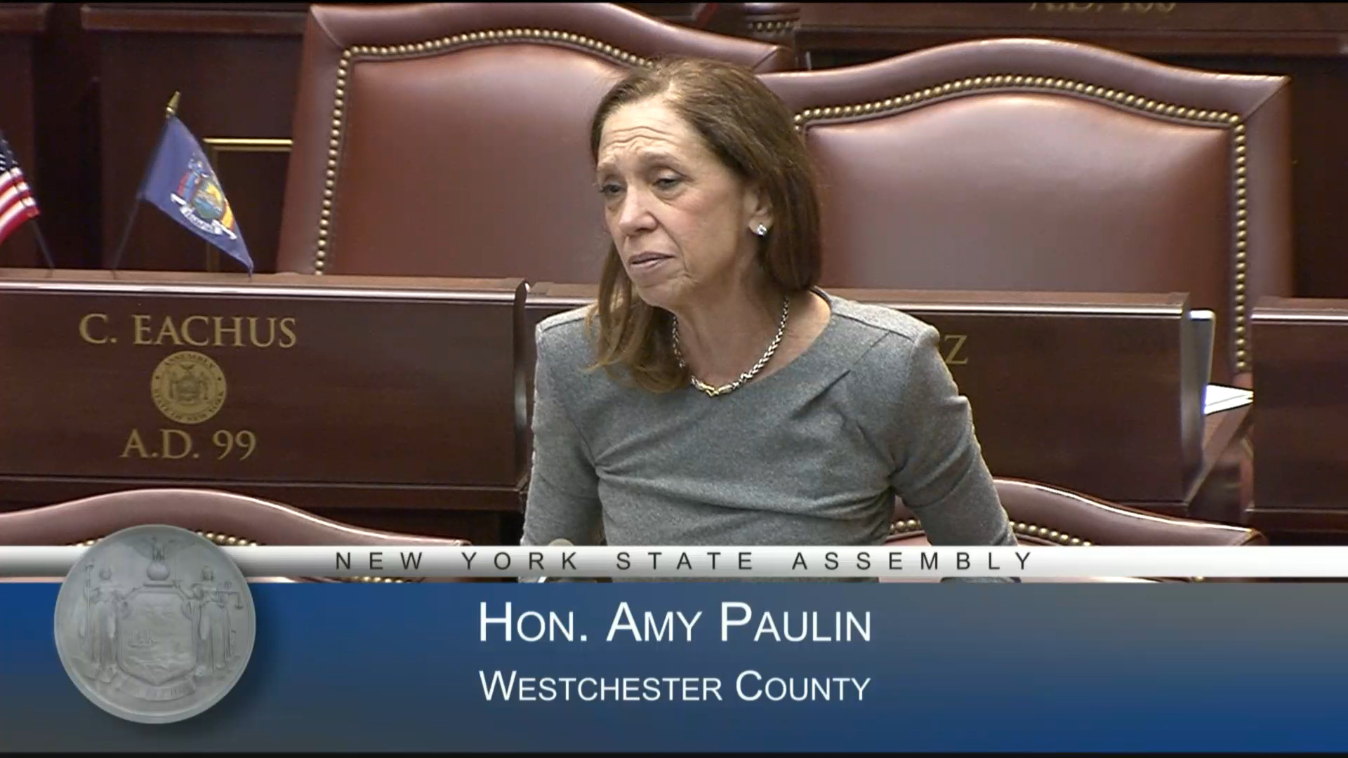 Establishing Statewide Supervised Visitation Initiative in NY