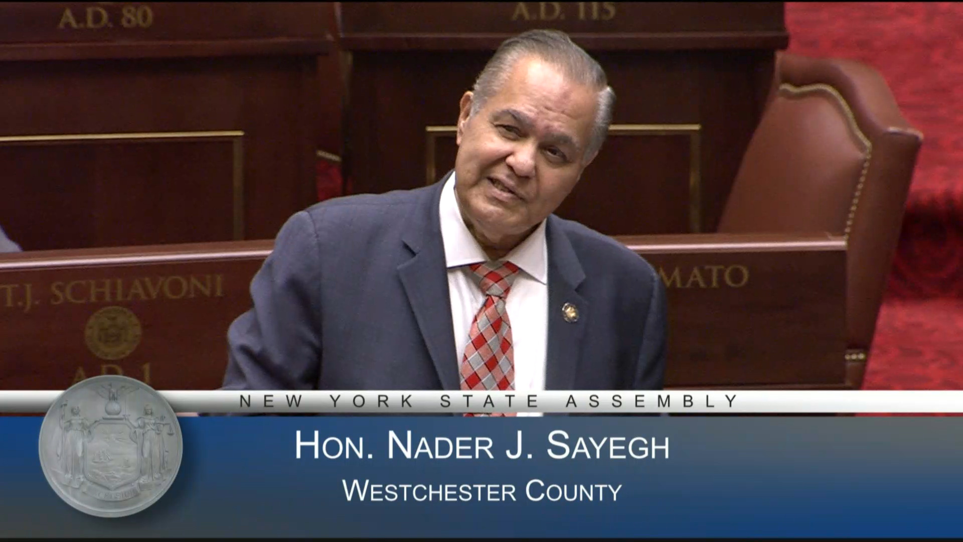 Syrian-American Heritage Day in NY