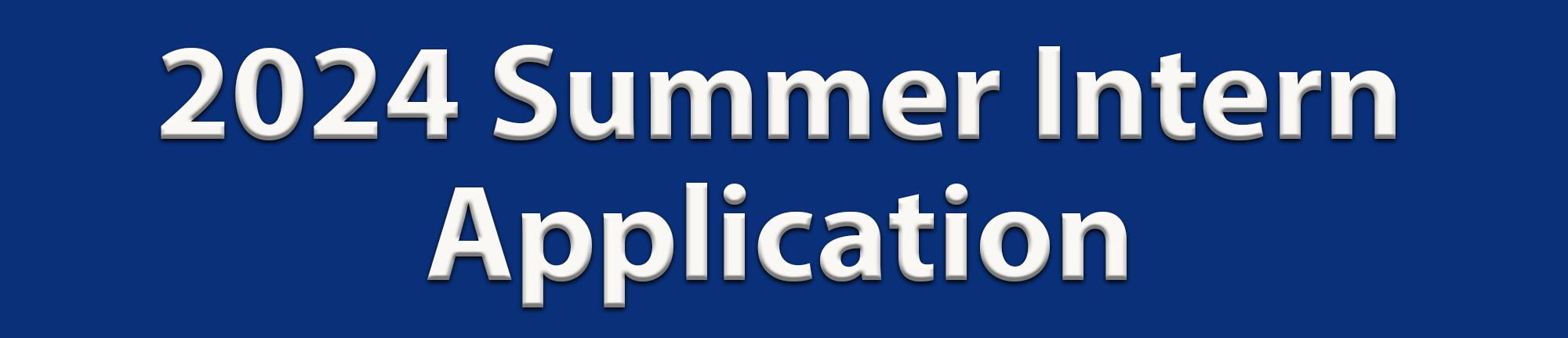 2024 Summer Intern Application