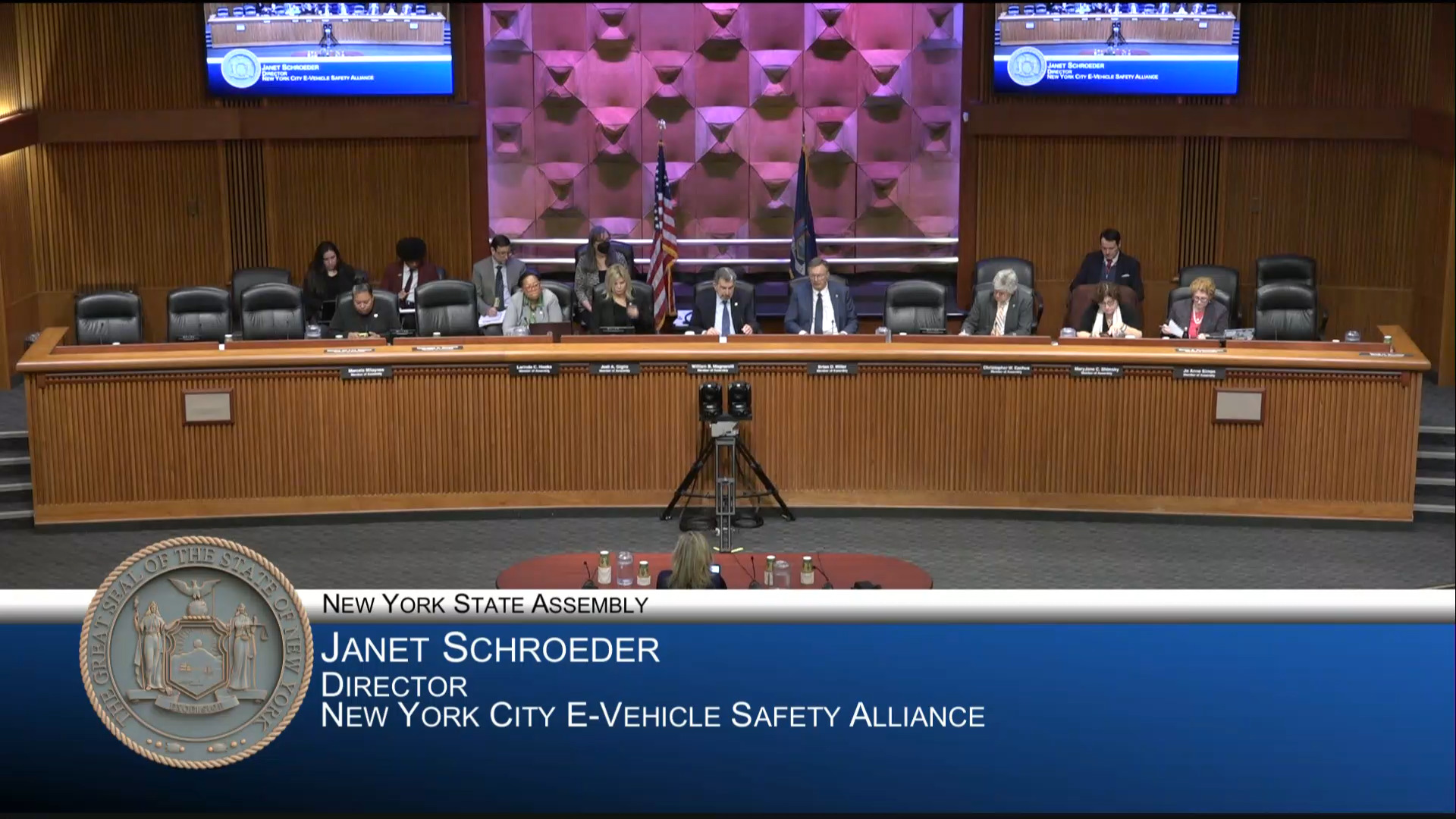 NYC E-Vehicle Safety Alliance Director Testifies During Hearing on Effects E-bikes and E-Scooters Have on Mobility, Traffic and Public Safety