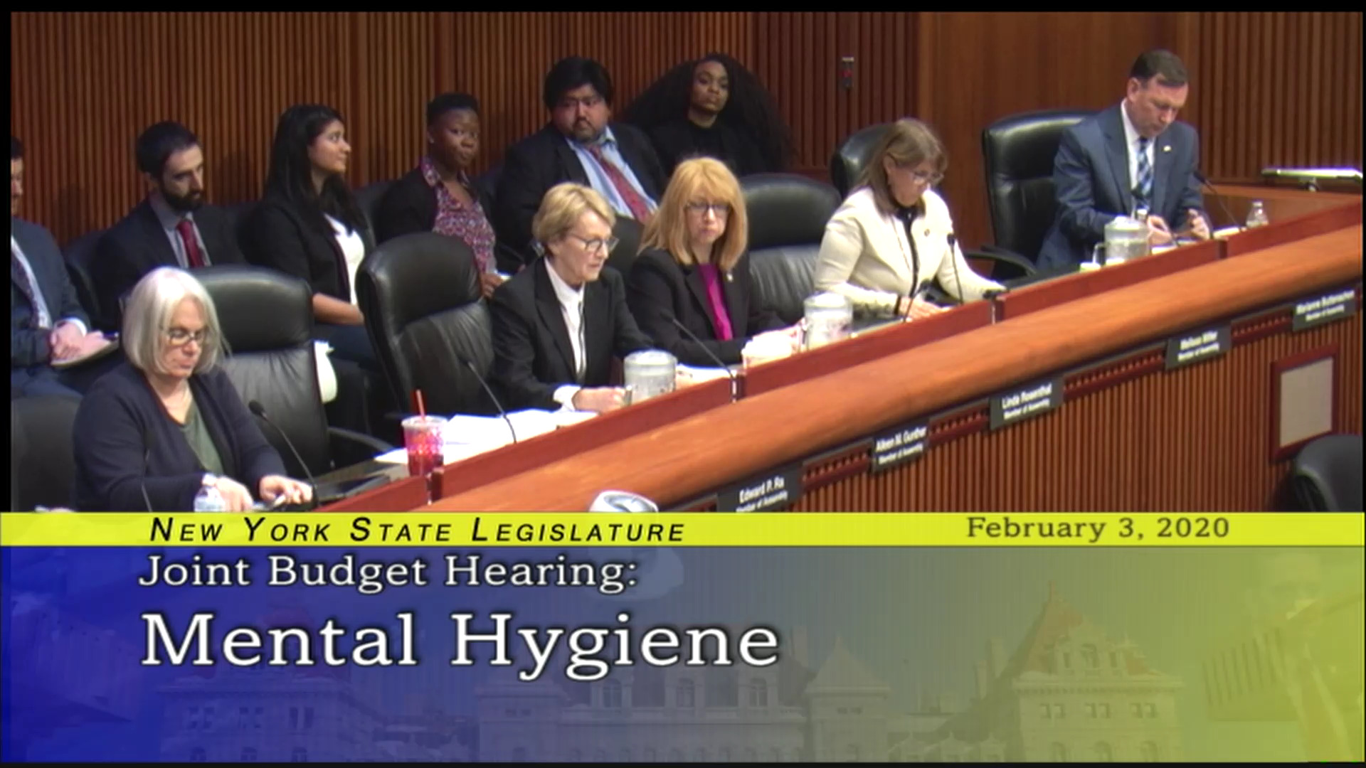 2020 Joint Budget Hearing on Mental Hygiene (2)