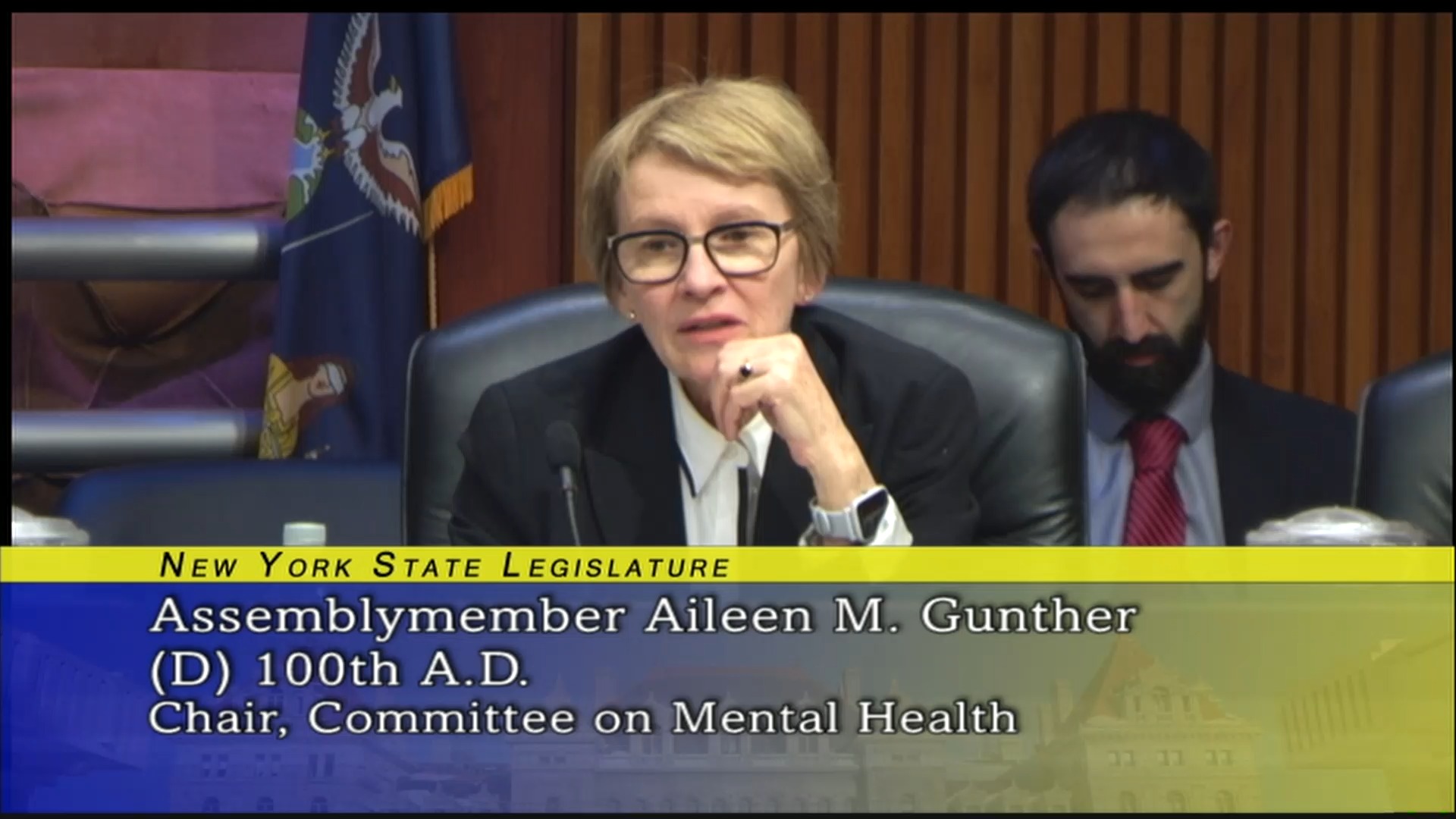2020 Joint Budget Hearing on Mental Hygiene (3)