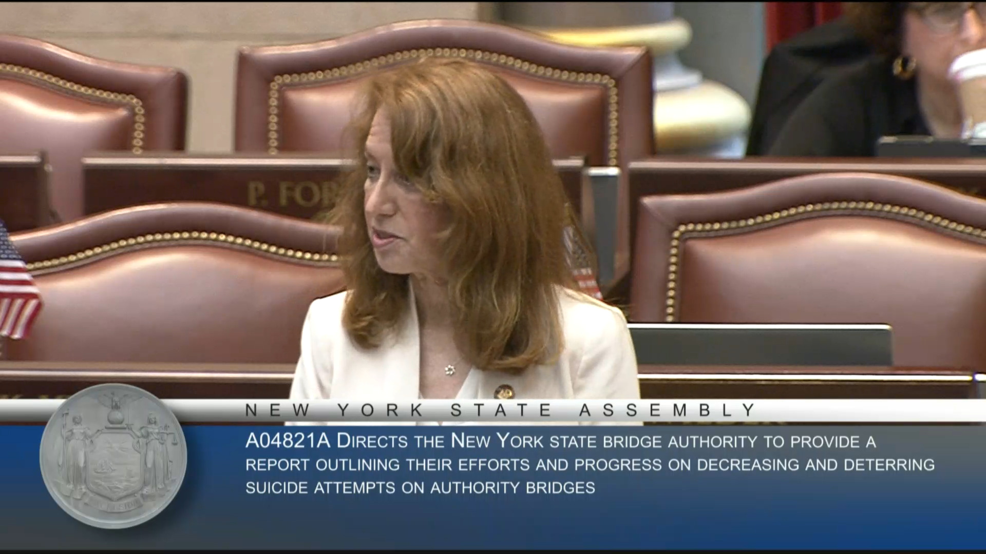 Deterring Suicide Attempts on Hudson Valley Bridges