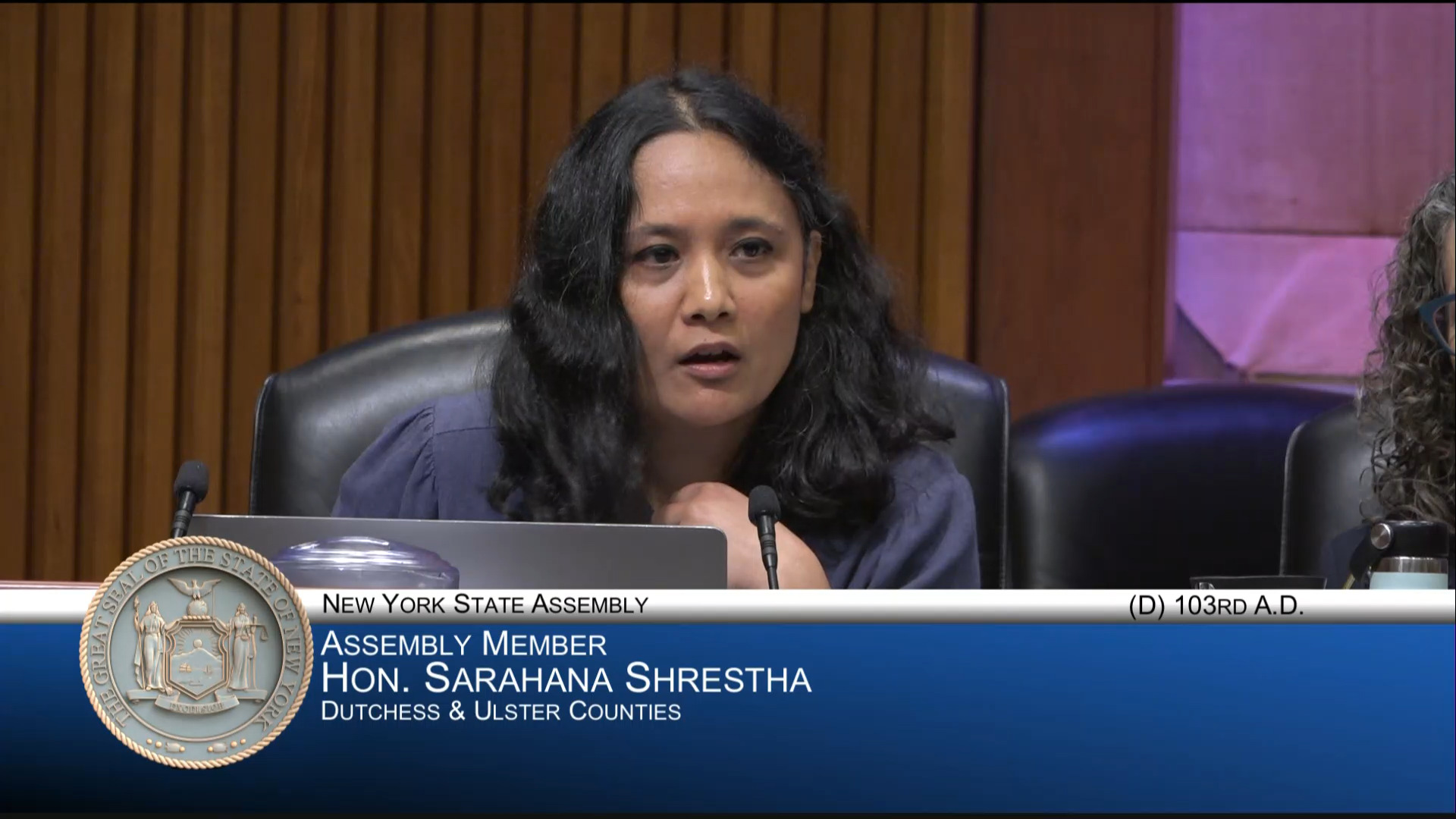 Upstate Cities Representatives Testify at Public Hearing on Rent Stabilization Outside NYC