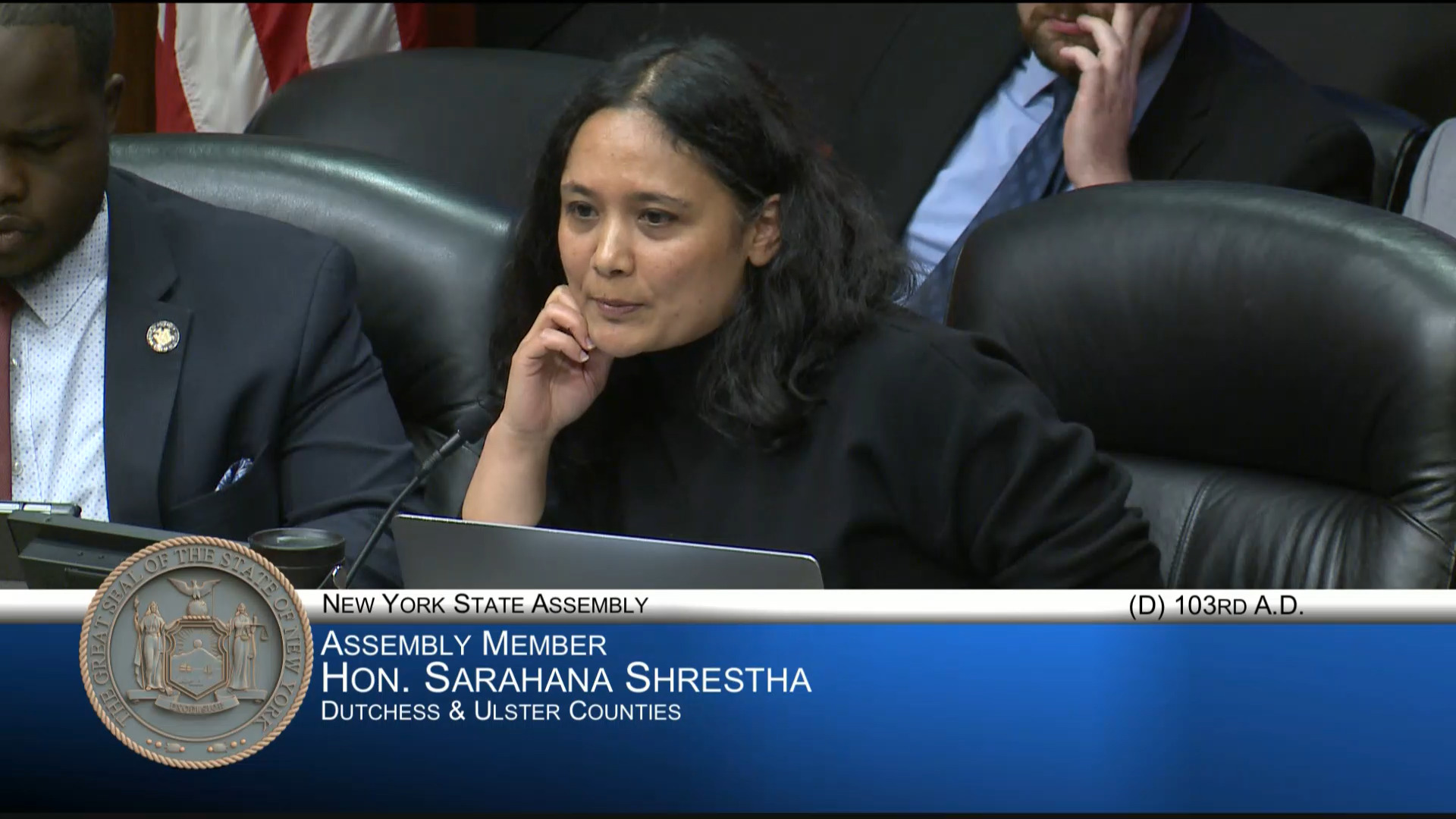 NYSLO Representative Testifies During Public Hearing on Protecting Residential Ratepayers from Certain Increased Energy Costs