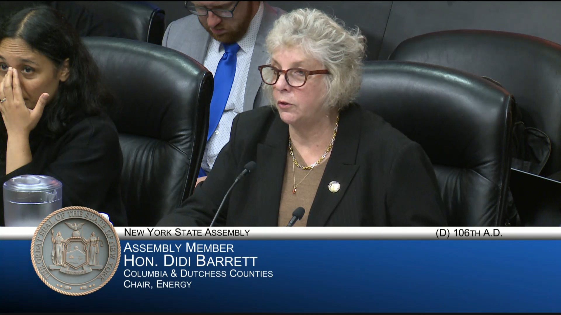 Barrett Questions NYISO VP During Public Hearing on Protecting Residential Ratepayers from Increased Energy Costs