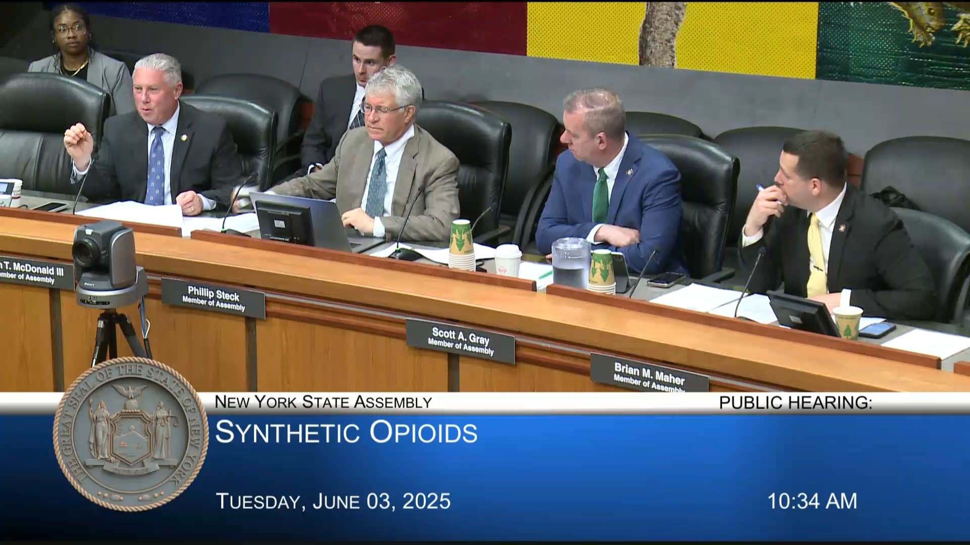 Clinical Professor Testifies During Hearing on Prevalence of Synthetic Opioid Abuse in NYS