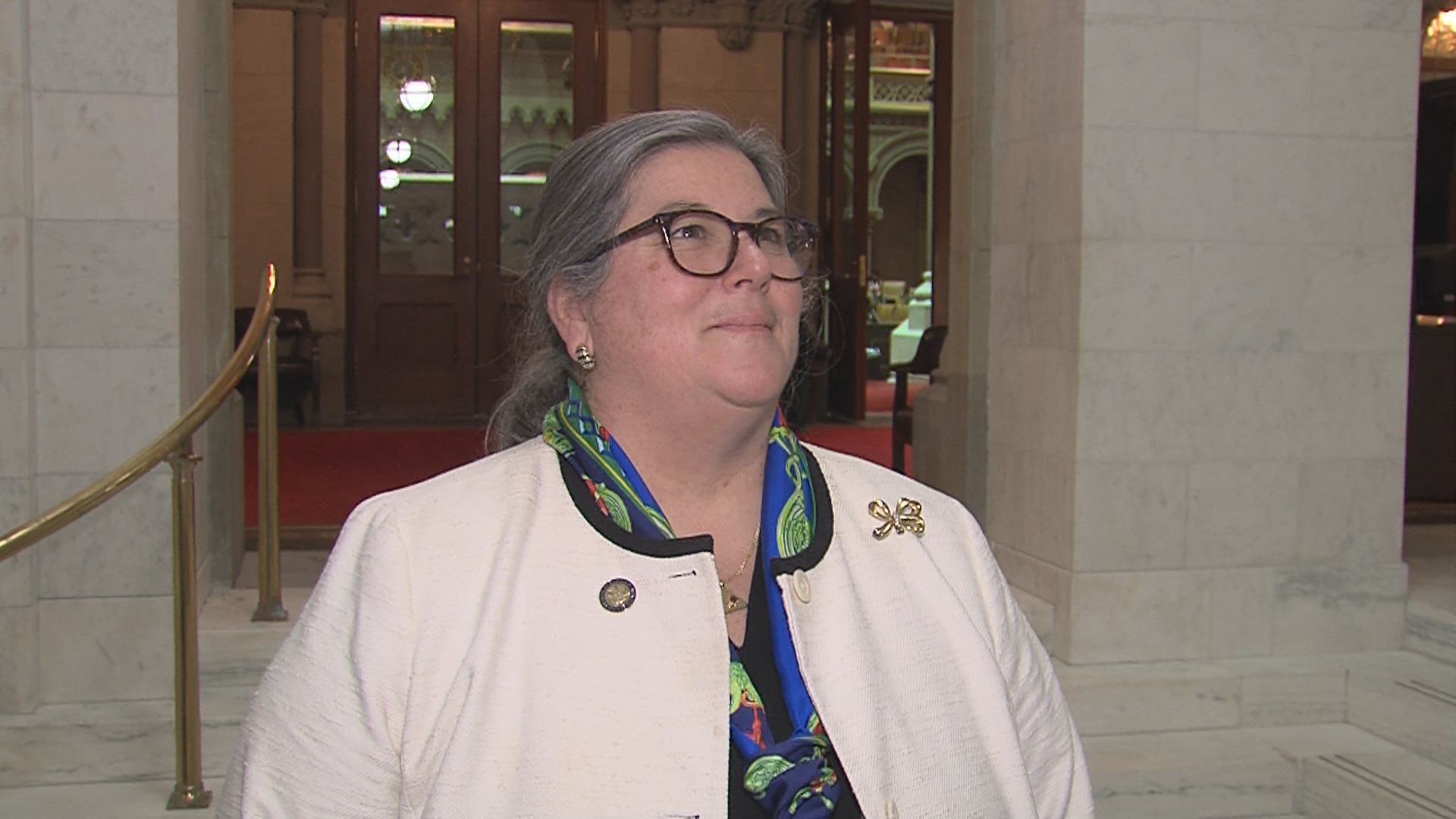 Woerner Votes for the Assembly Budget Plan