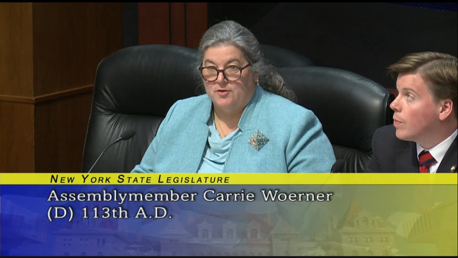 Public Hearing About Capital Funding For The Arts And Cultural Organizations (2)