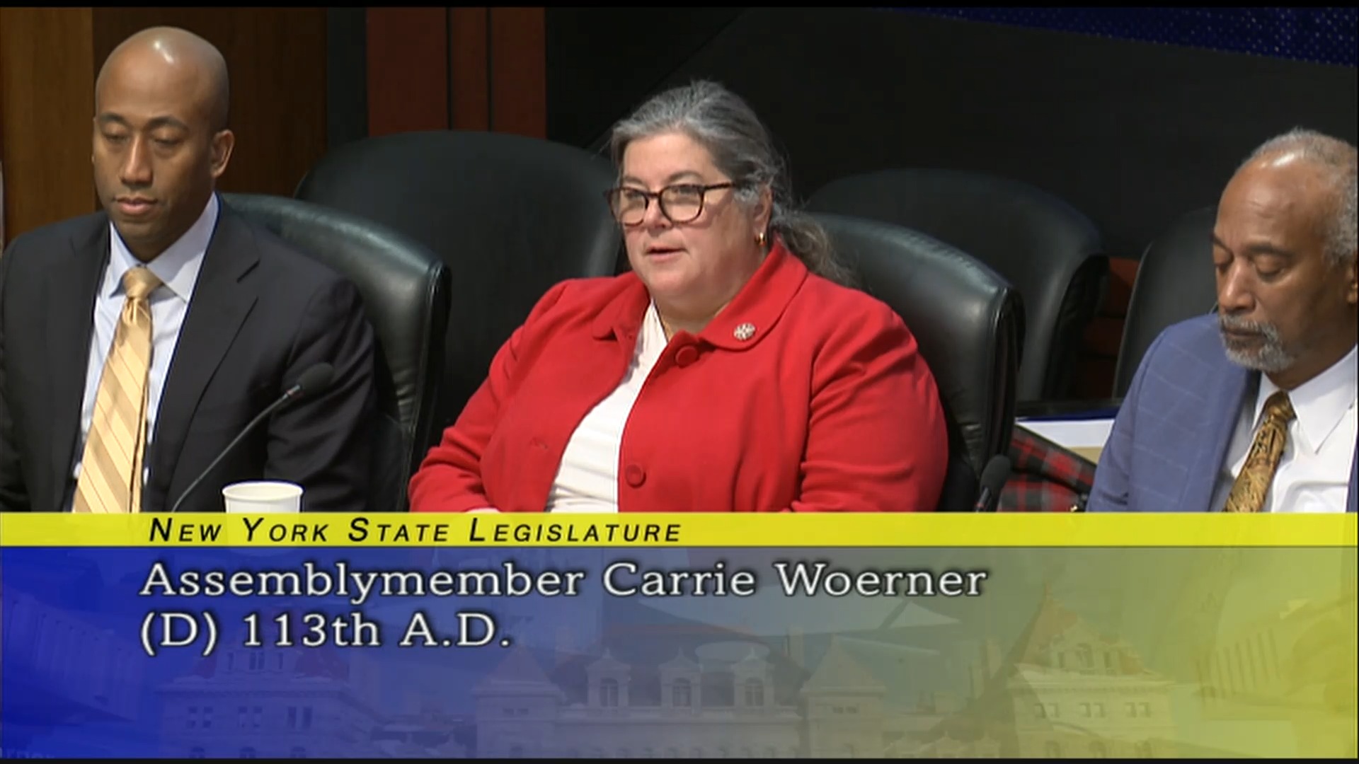 Public Hearing On Gambling (2)