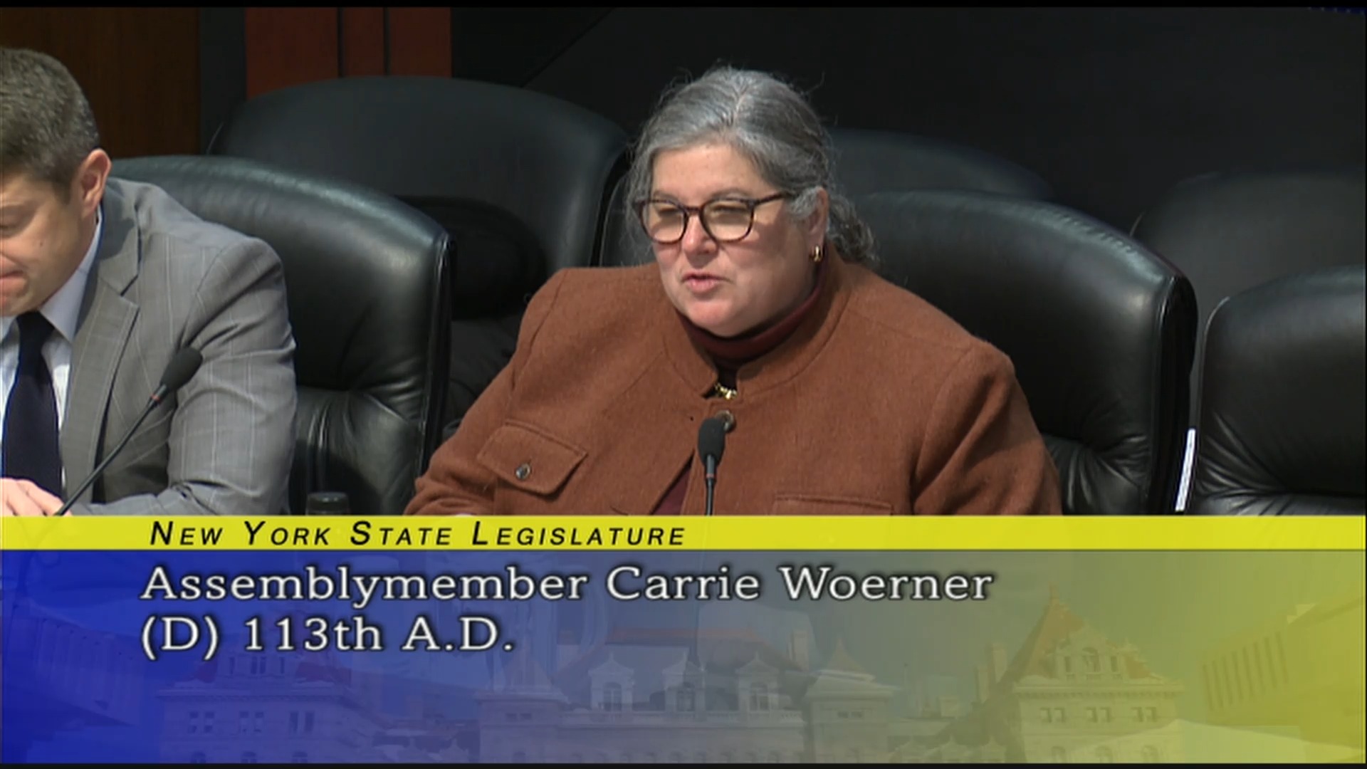 Public Hearing On New York State Department of Agriculture and Markets 2019-2020 State Budget (1)