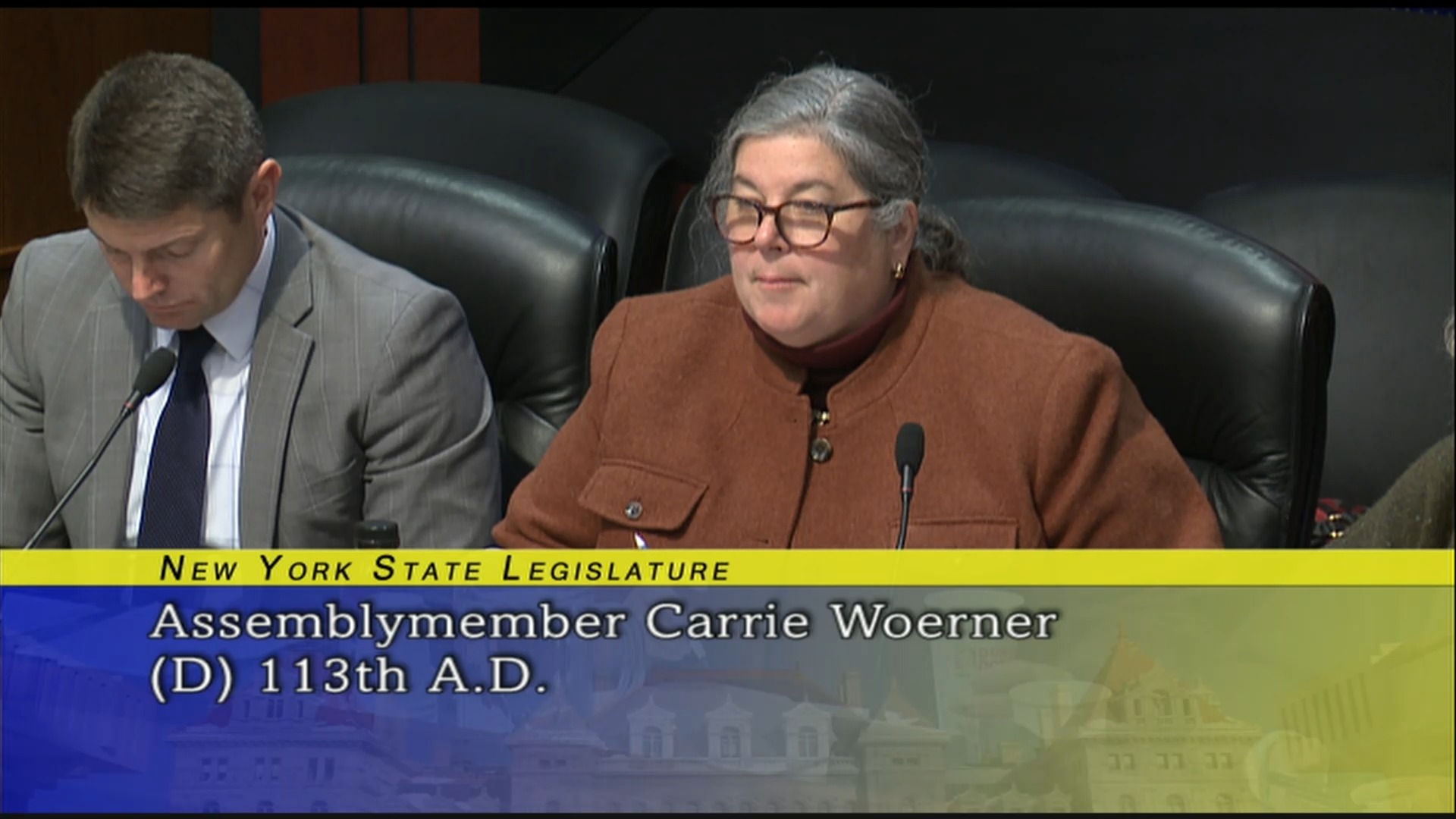 Public Hearing On New York State Department of Agriculture and Markets 2019-2020 State Budget (2)