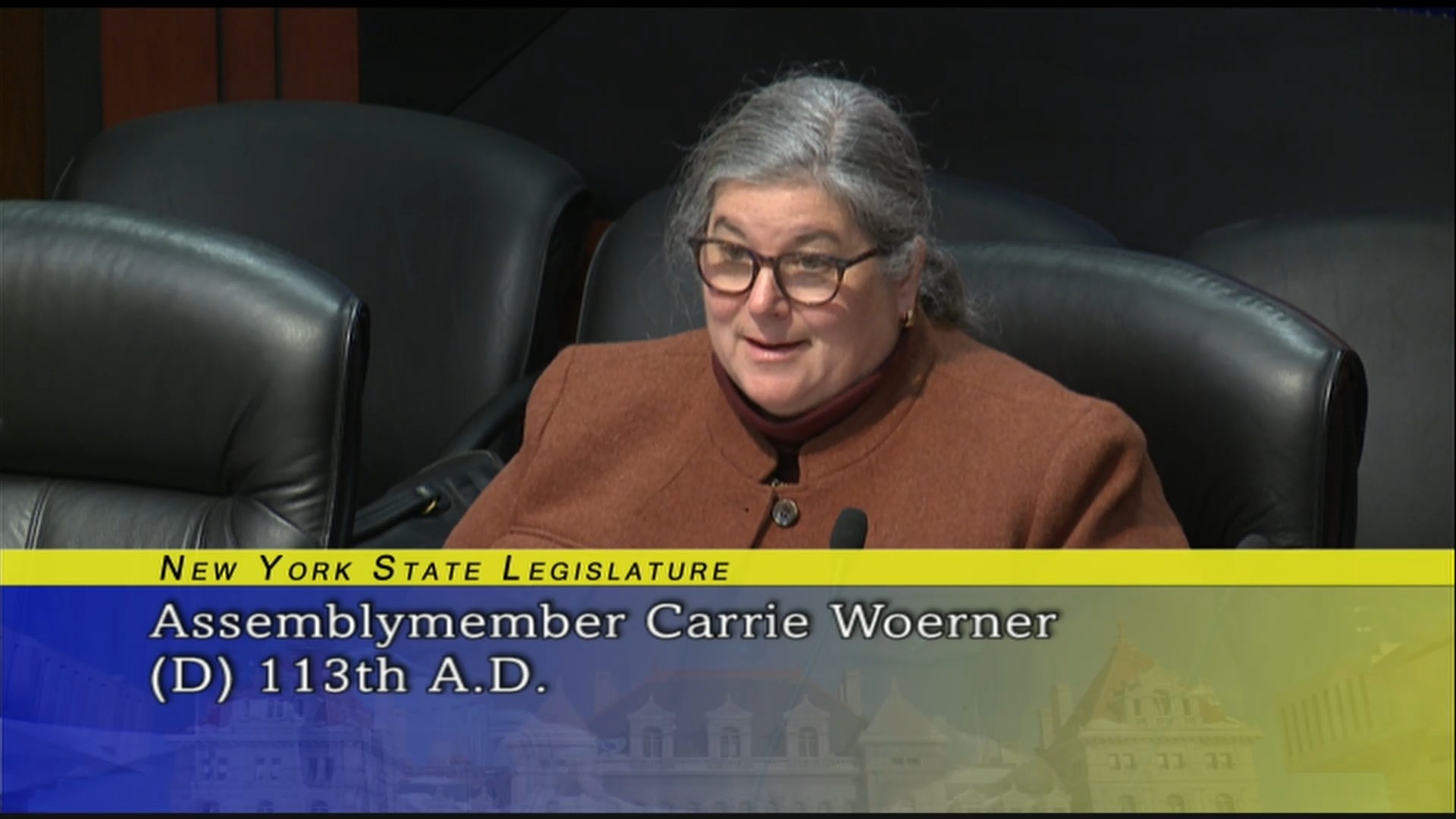 Public Hearing On New York State Department of Agriculture and Markets 2019-2020 State Budget (3)