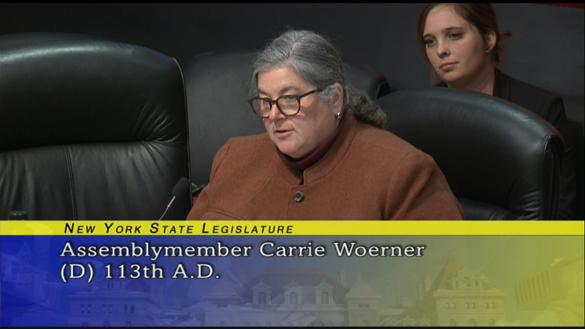 Public Hearing On New York State Department of Agriculture and Markets 2019-2020 State Budget (6)