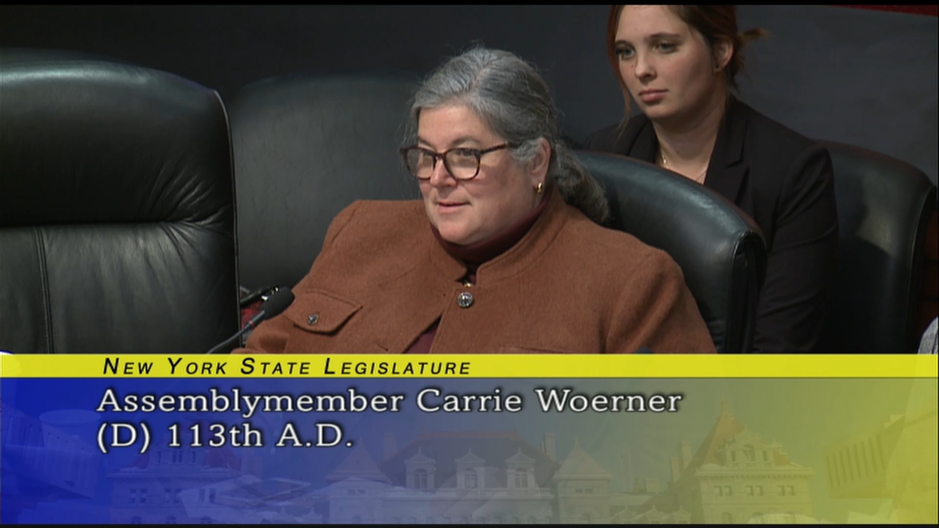 Public Hearing On New York State Department of Agriculture and Markets 2019-2020 State Budget (7)
