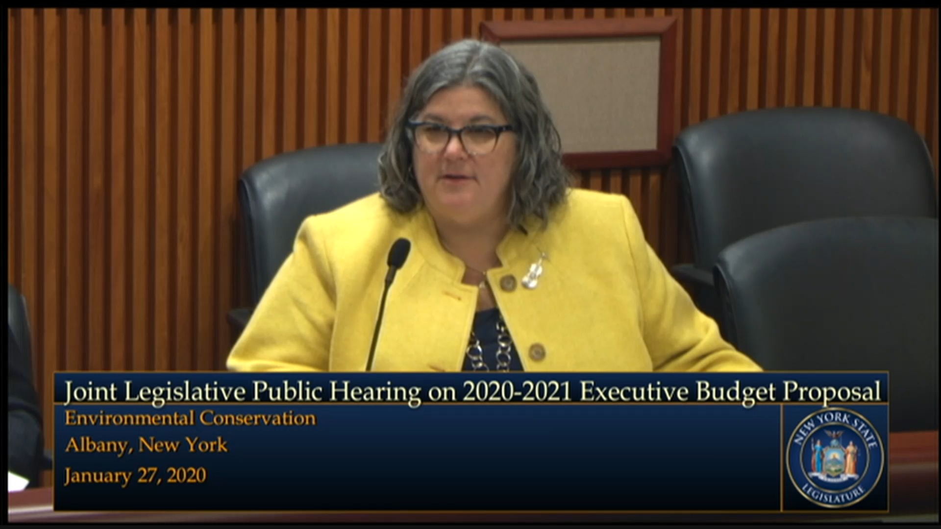 2020 Joint Budget Hearing on Environmental Conservation