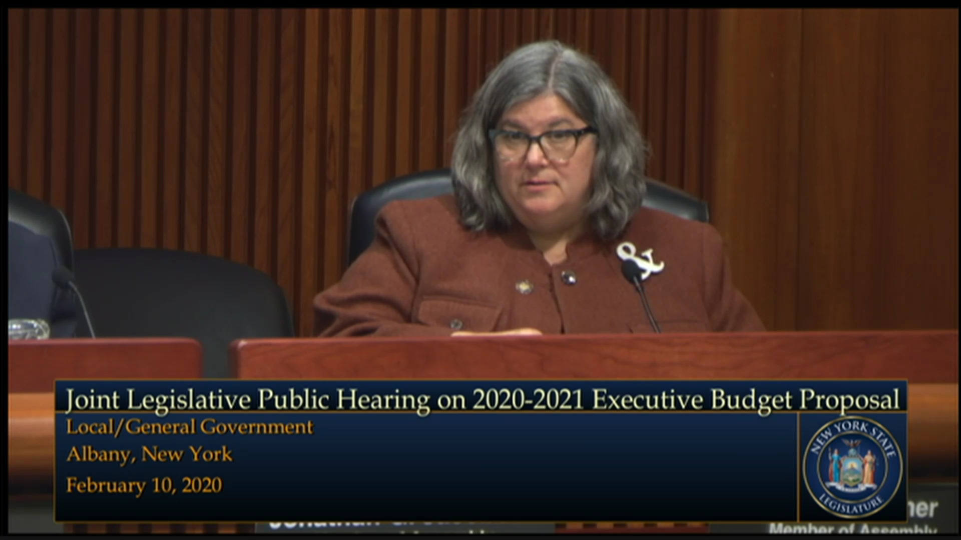 2020 Joint Budget Hearing on Local/General Government (1)