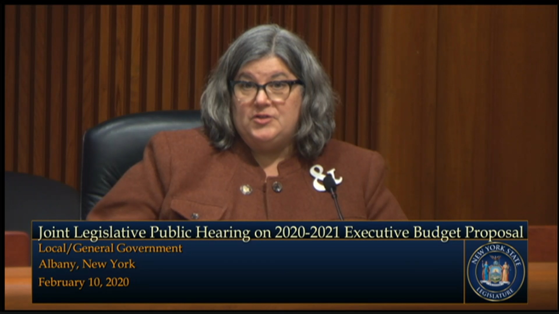2020 Joint Budget Hearing on Local/General Government (2)