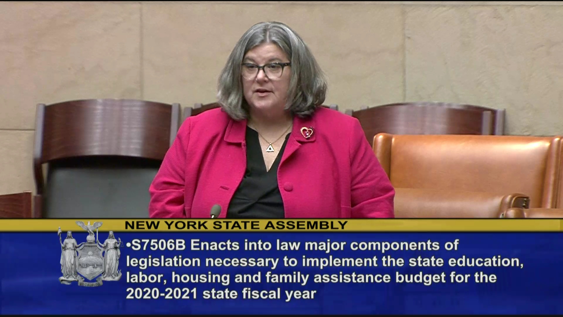 Funding for Programs in 2020-2021 State Budget