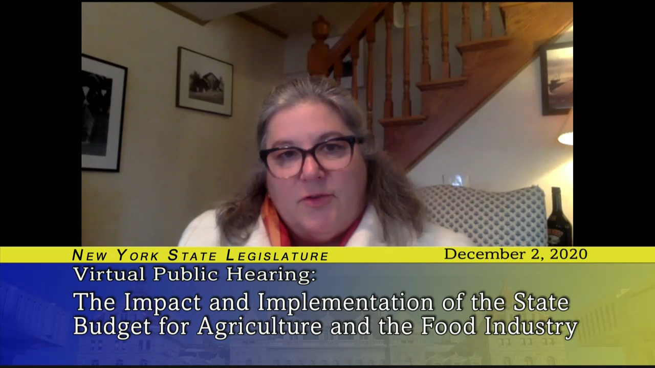 Public Hearing on Impact and Implementation of State Budget for Agriculture