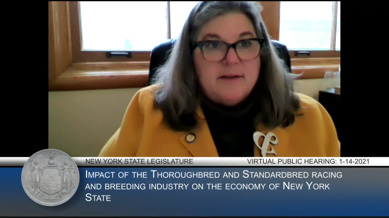 Public Hearing on COVID-19 Impact on Thoroughbred and Standardbred Racing and Breeding Industry