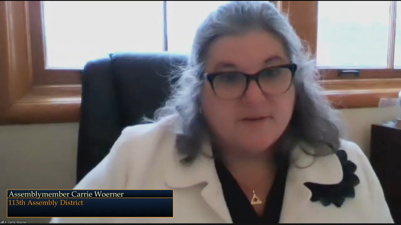 Woerner Questions DEC Commissioner During Budget Hearing on Environmental Conservation
