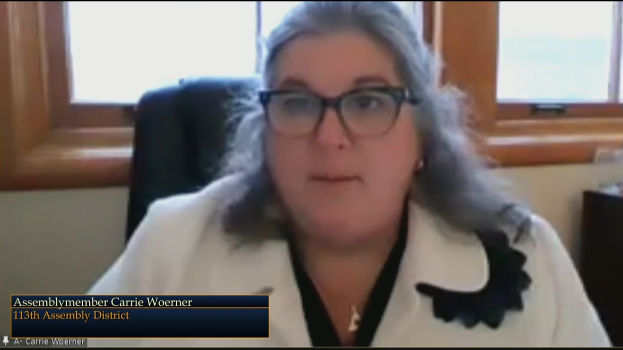 Woerner Questions Commissioner Kulleseid