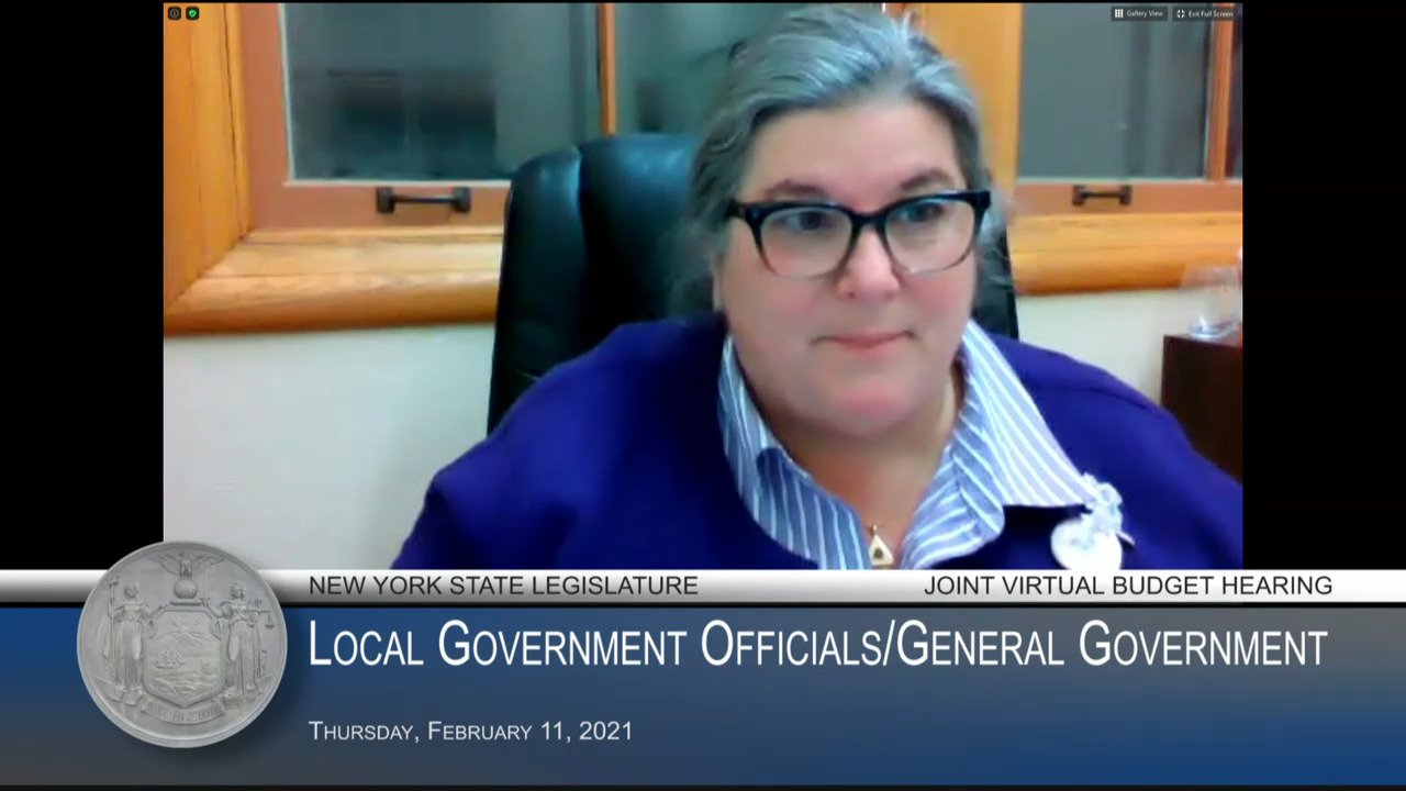 Woerner Questions NYS Association of Counties Representatives During Budget Hearing on Local Government