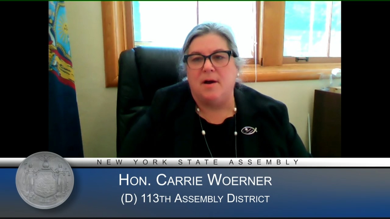 2021-2022 Health and Mental Hygiene Budget Bill