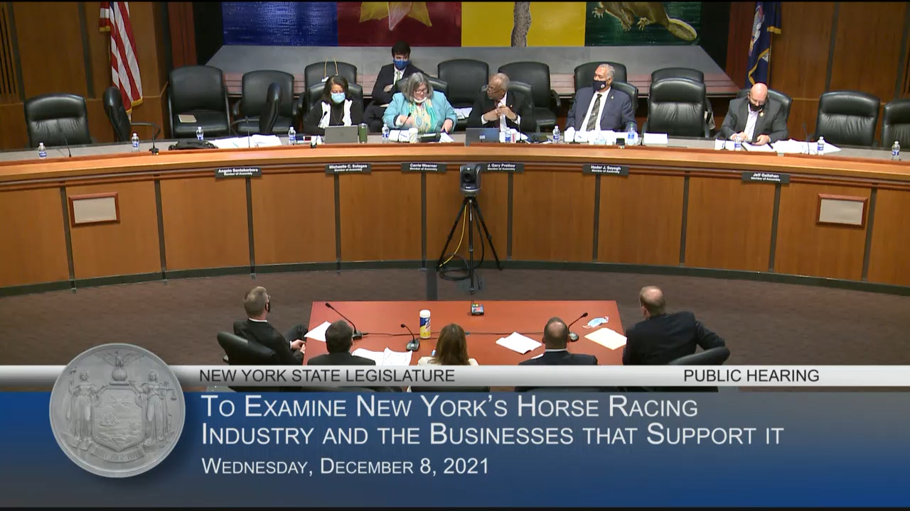 Equine Veterinarian Testifies at Hearing on the Efficiency and Effectiveness of New York’s Horse Racing Industry