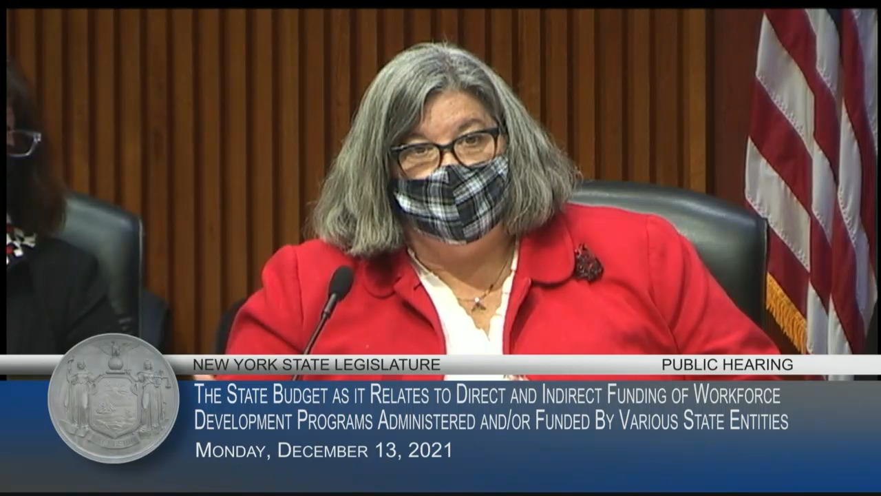 1199 SEIU Workforce Consultant Testifies During Public Hearing on Funding of Workforce Development Programs