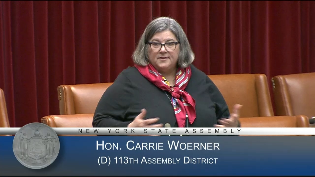 Health and Mental Hygiene Budget Bill Passes in the Assembly