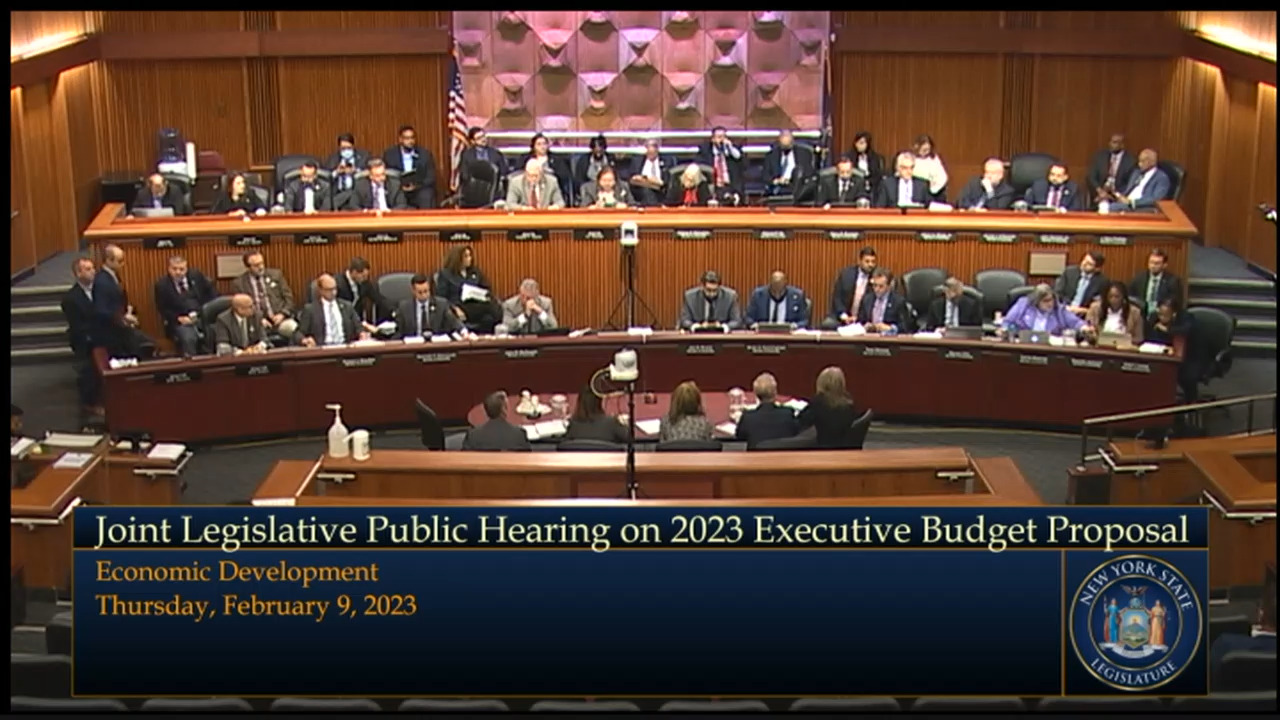 NYS Council on the Arts Director Testifies During Budget Hearing on Economic Development and the Arts