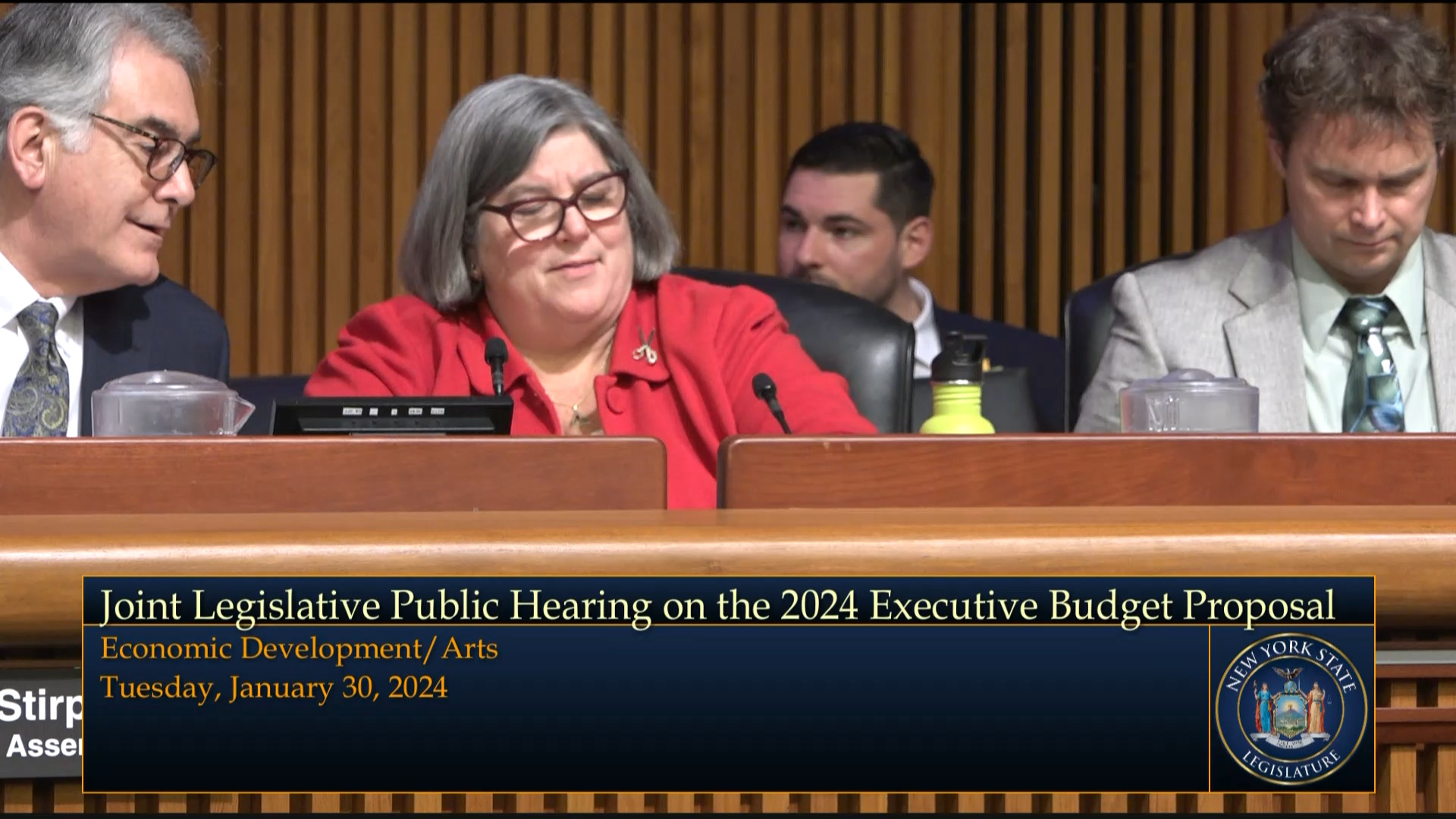 Woerner Question NYS Economic Development Council Director During Budget Hearing on Economic Development