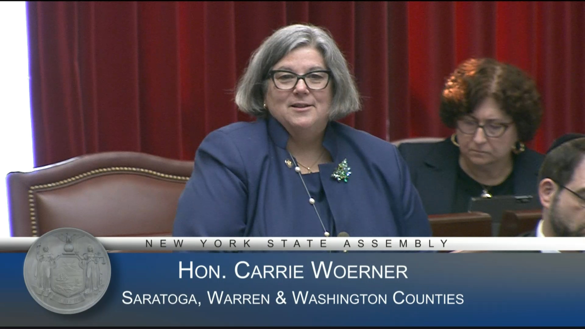 Honoring the Memory of Deceased Members of the NYS Assembly