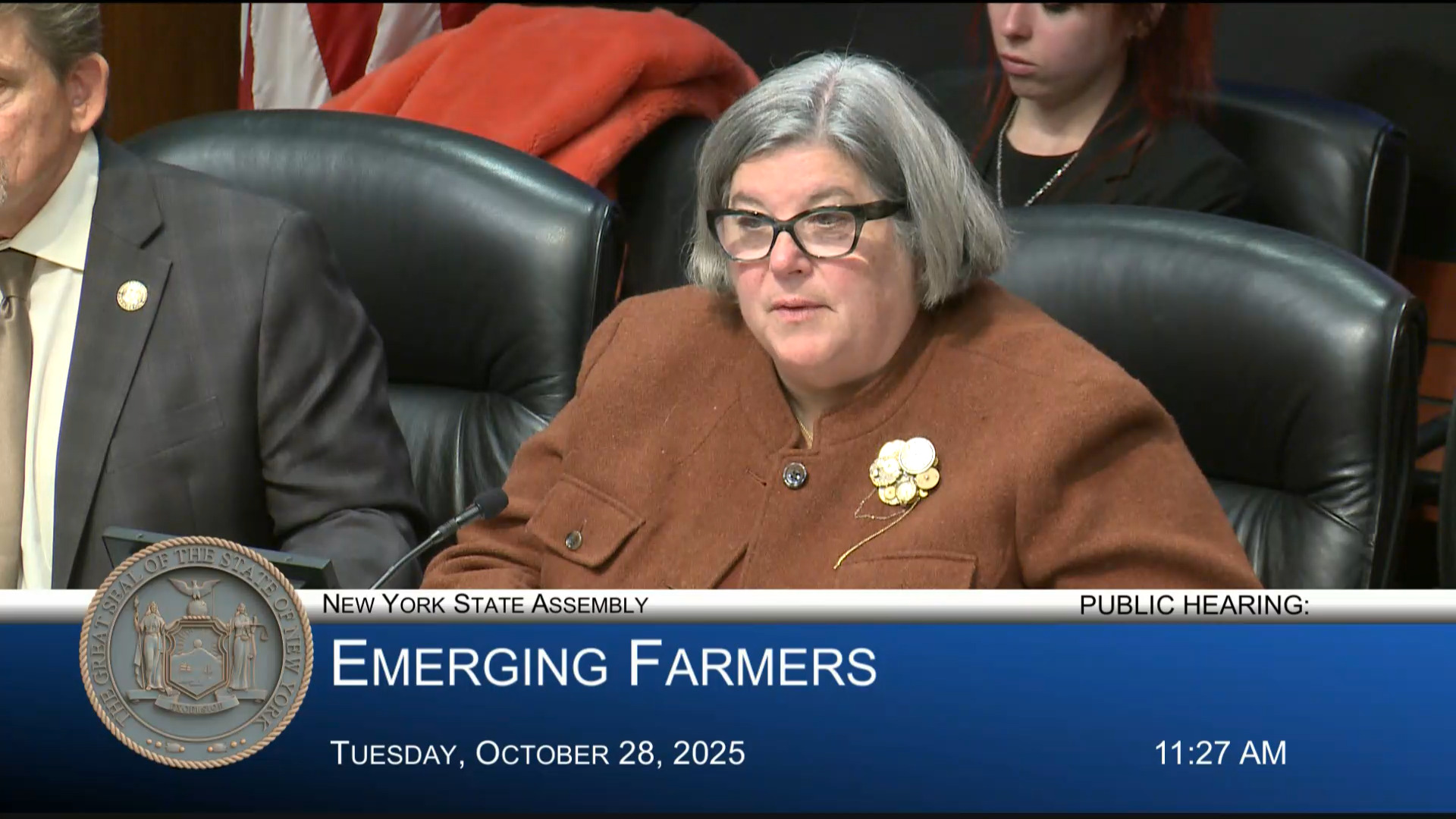 Farmer Advocates Testify at Public Hearing Examining Programs Which Assist Young and Emerging Farmers