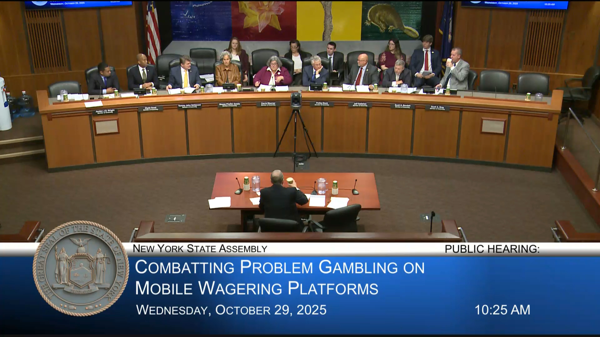 Woerner Co-Chairs Public Hearing on Combating Problem Gambling on Mobile Wagering Platforms