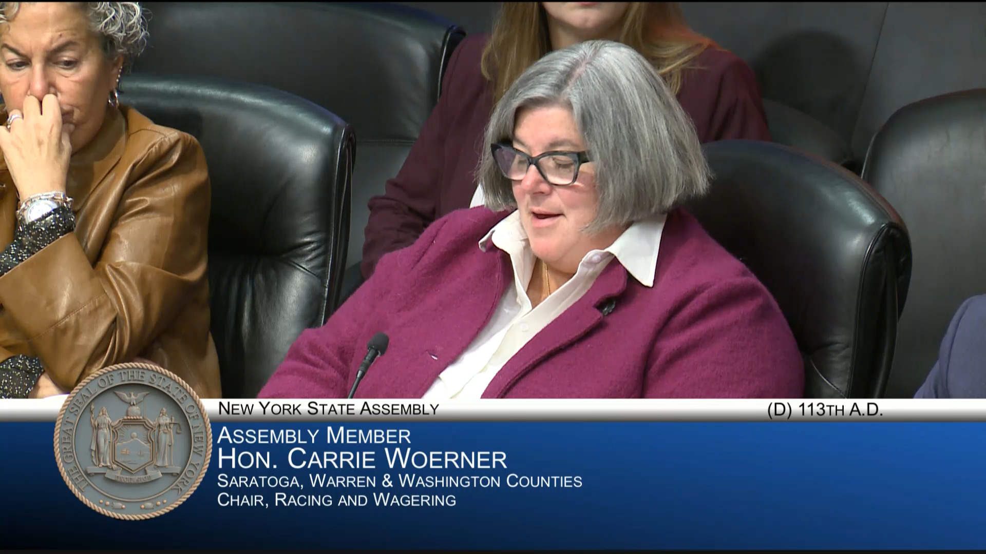 NY Council on Problem Gambling Director Testifies During Public Hearing on Combating Problem Gambling on Mobile Wagering Platforms