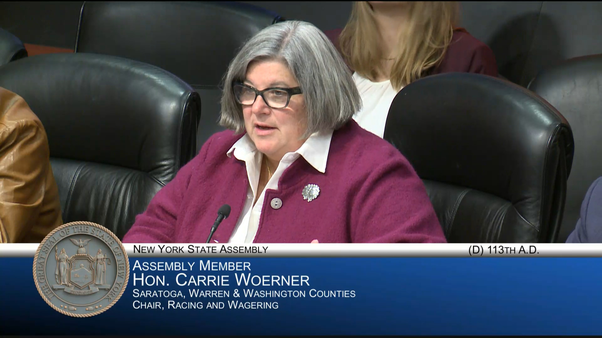 Woerner Questions NY Council on Problem Gambling Director During Public Hearing on Combating Problem Gambling on Mobile Wagering Platforms