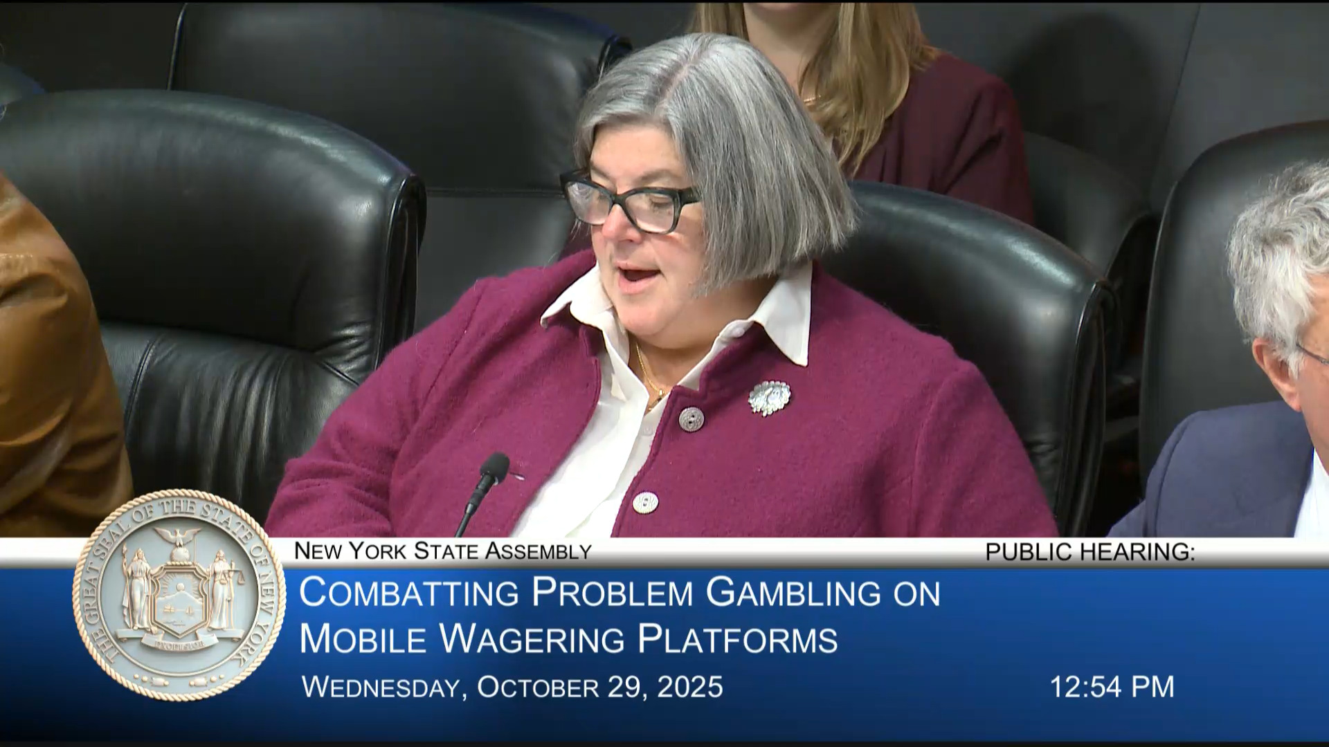 Woerner Questions Advocates During Public Hearing on Combating Problem Gambling on Mobile Wagering Platforms