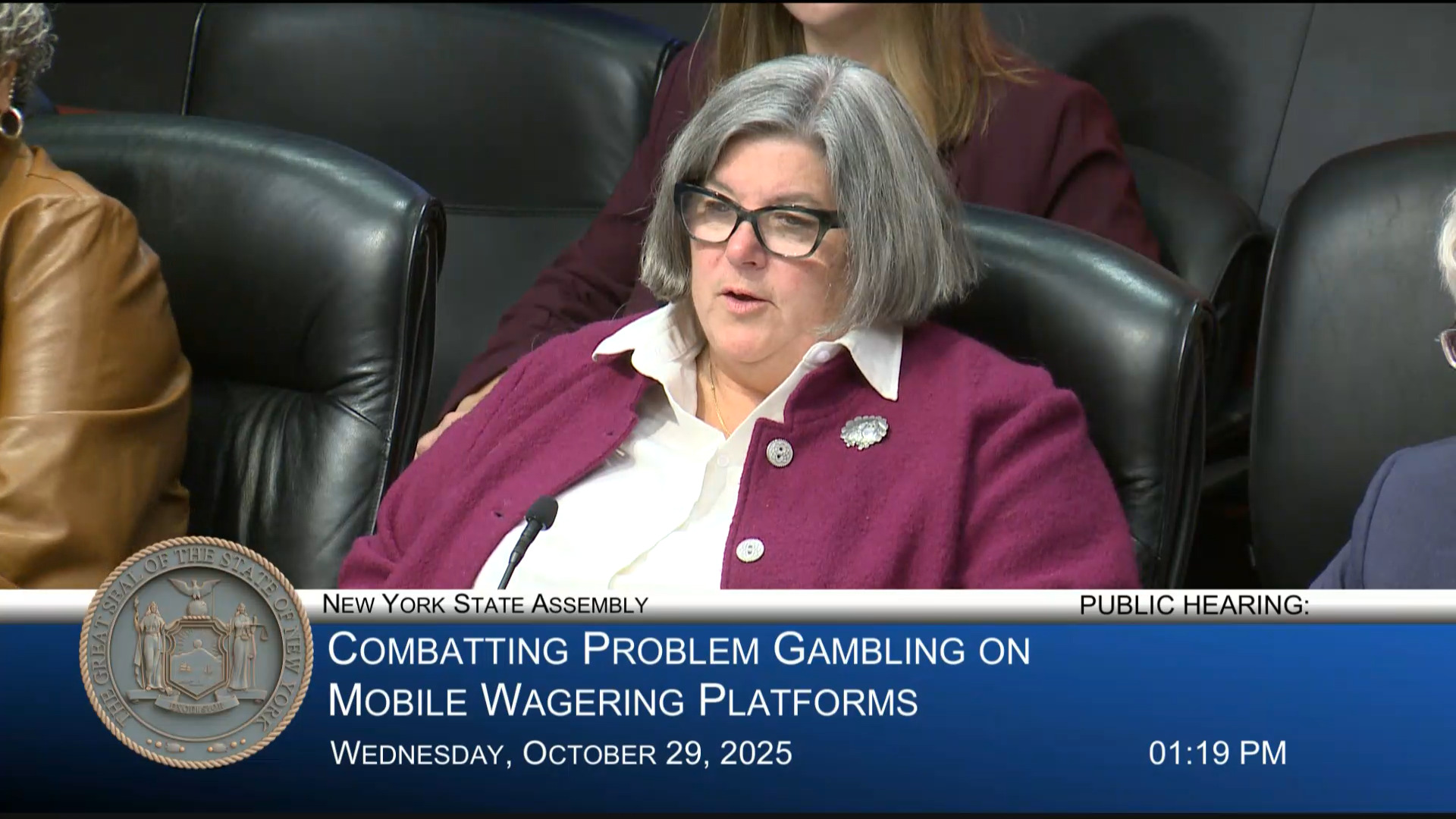 Friends of Recovery-NY Representative Testifies During a Public Hearing on Combating Problem Gambling on Mobile Wagering Platforms