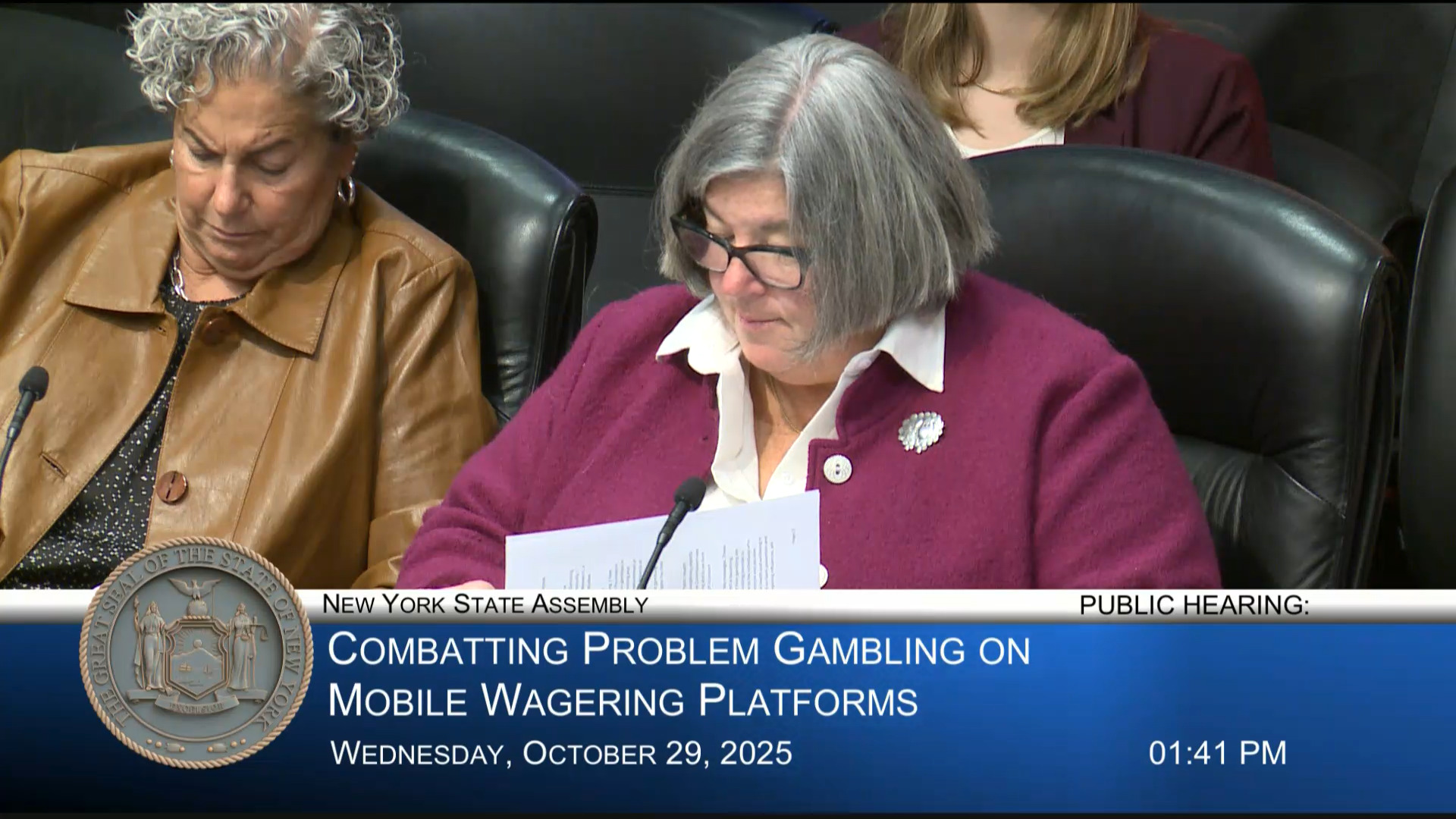 Professor Rachel Volberg Testifies at Public Hearing on Combating Problem Gambling on Mobile Wagering Platforms