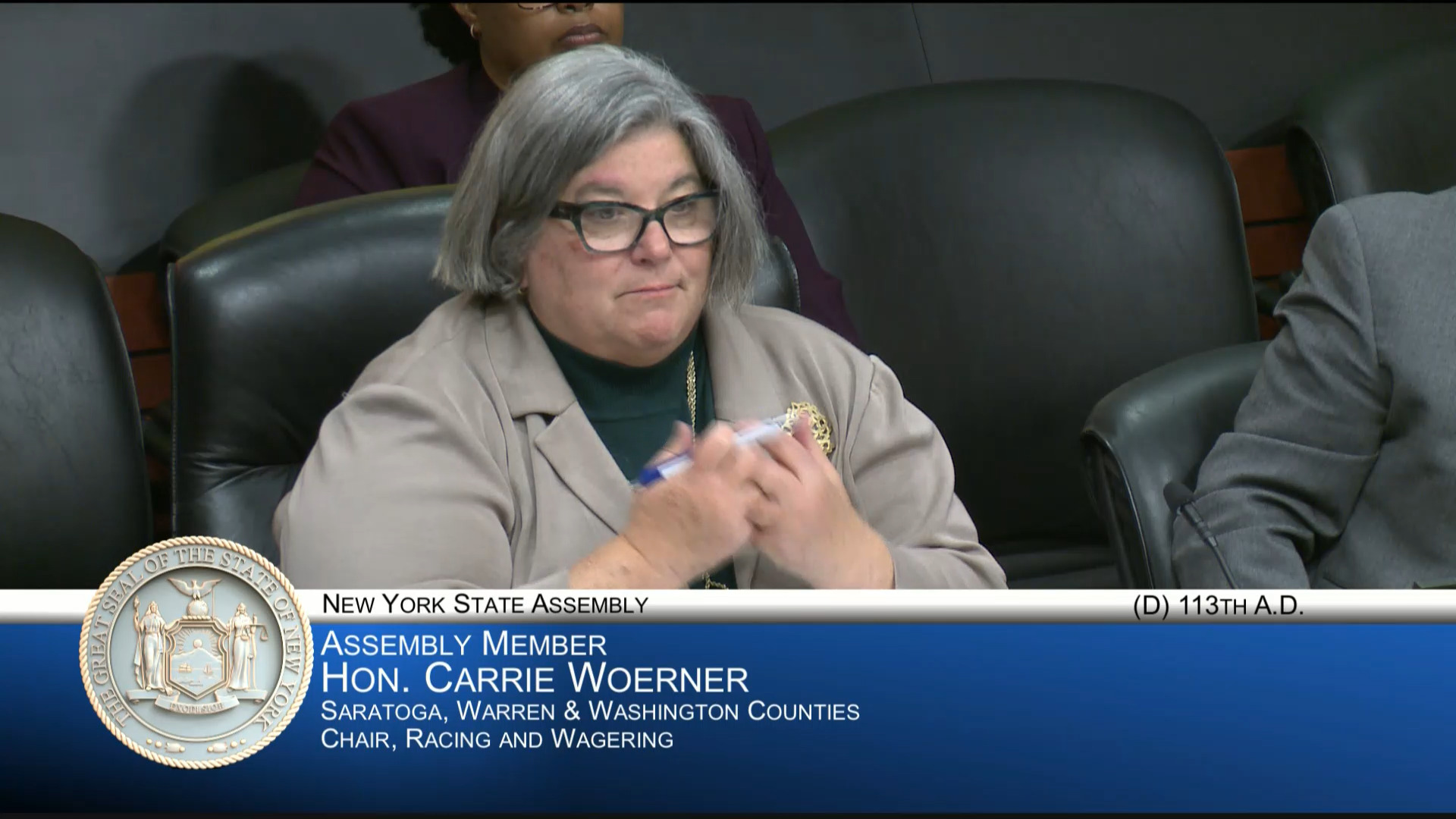 Industry Experts Testify During a Public Hearing Examining New York’s Horse Racing Industry