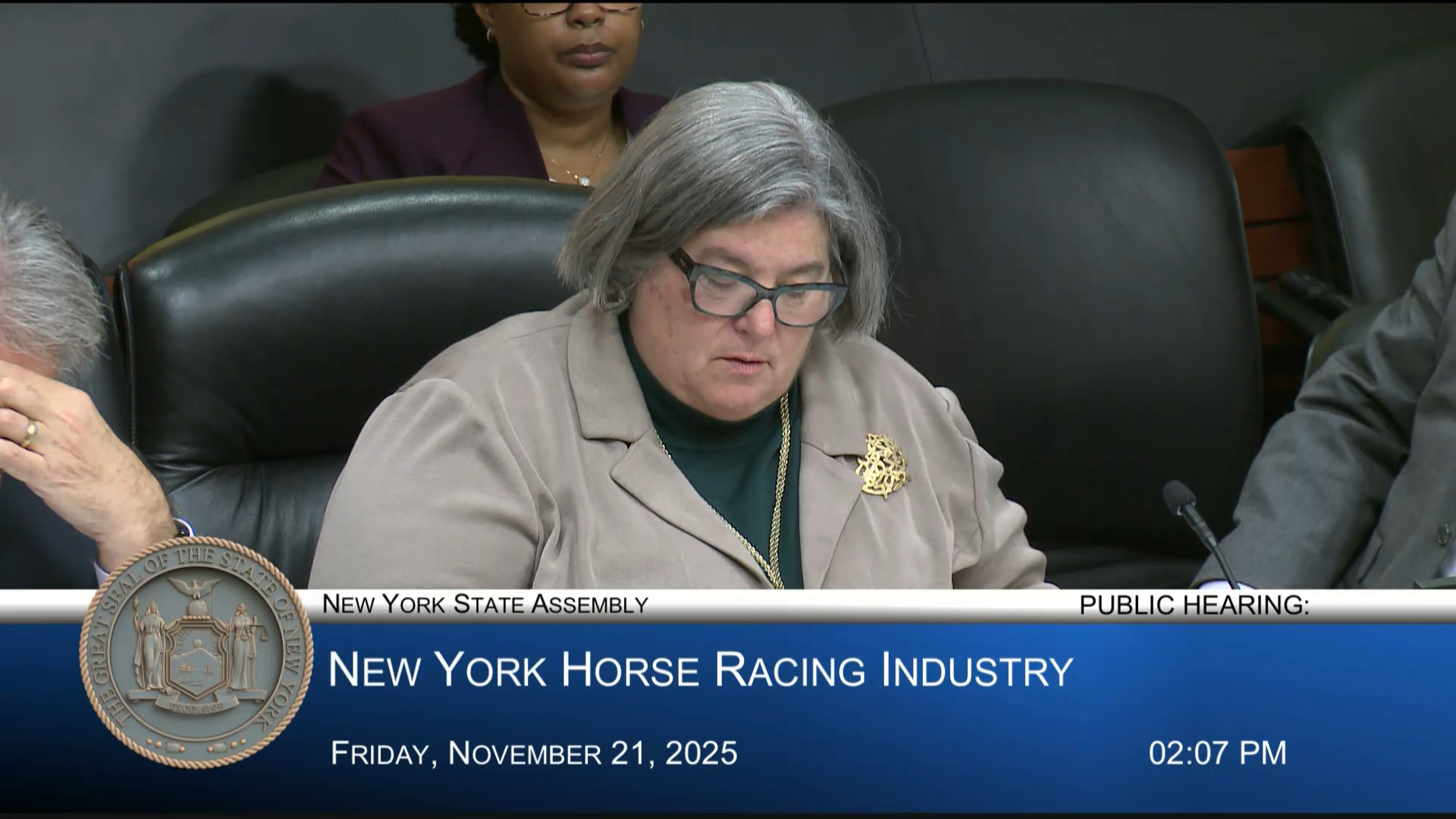 NY Racing Industry Experts Testify During Public Hearing Examining New York’s Horse Racing Industry