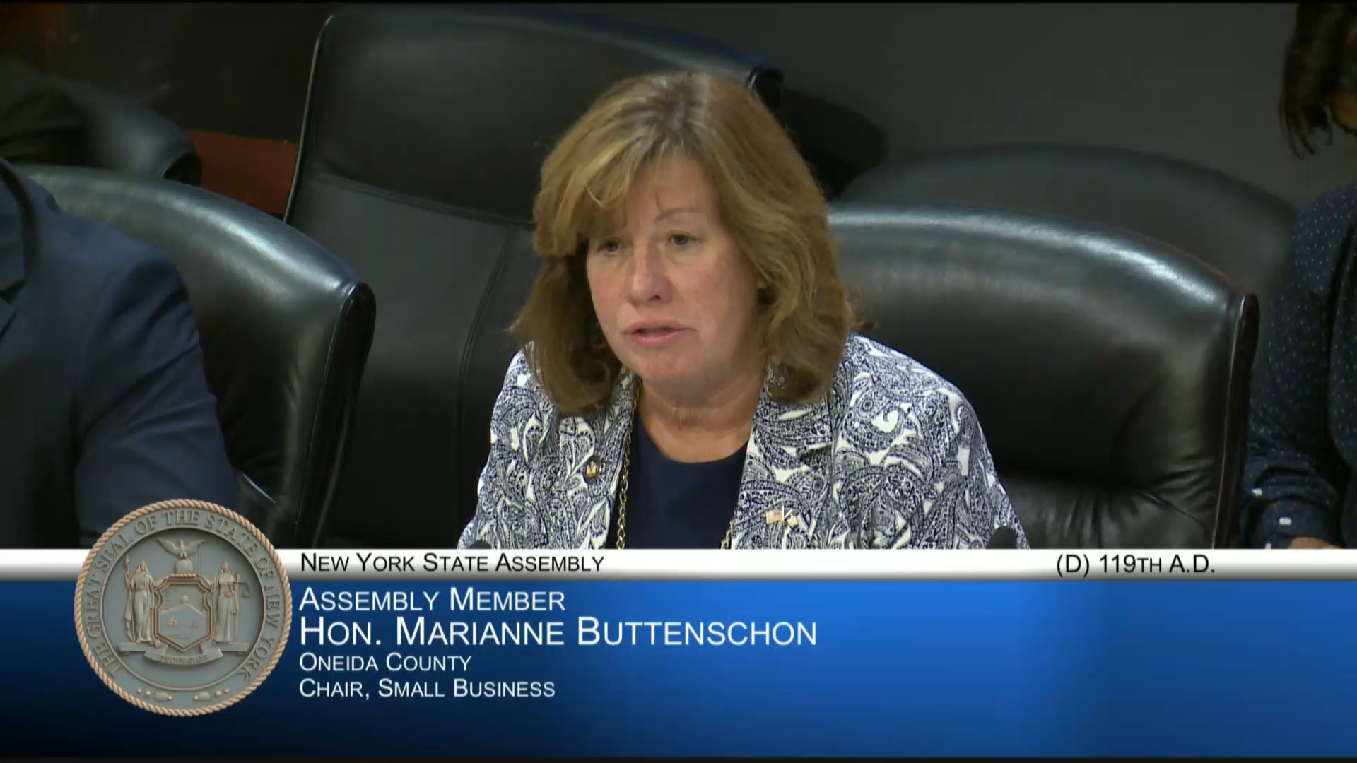 Small Business Advocates Testify During Hearing on impact Economic Development Programs funded in New State Budget