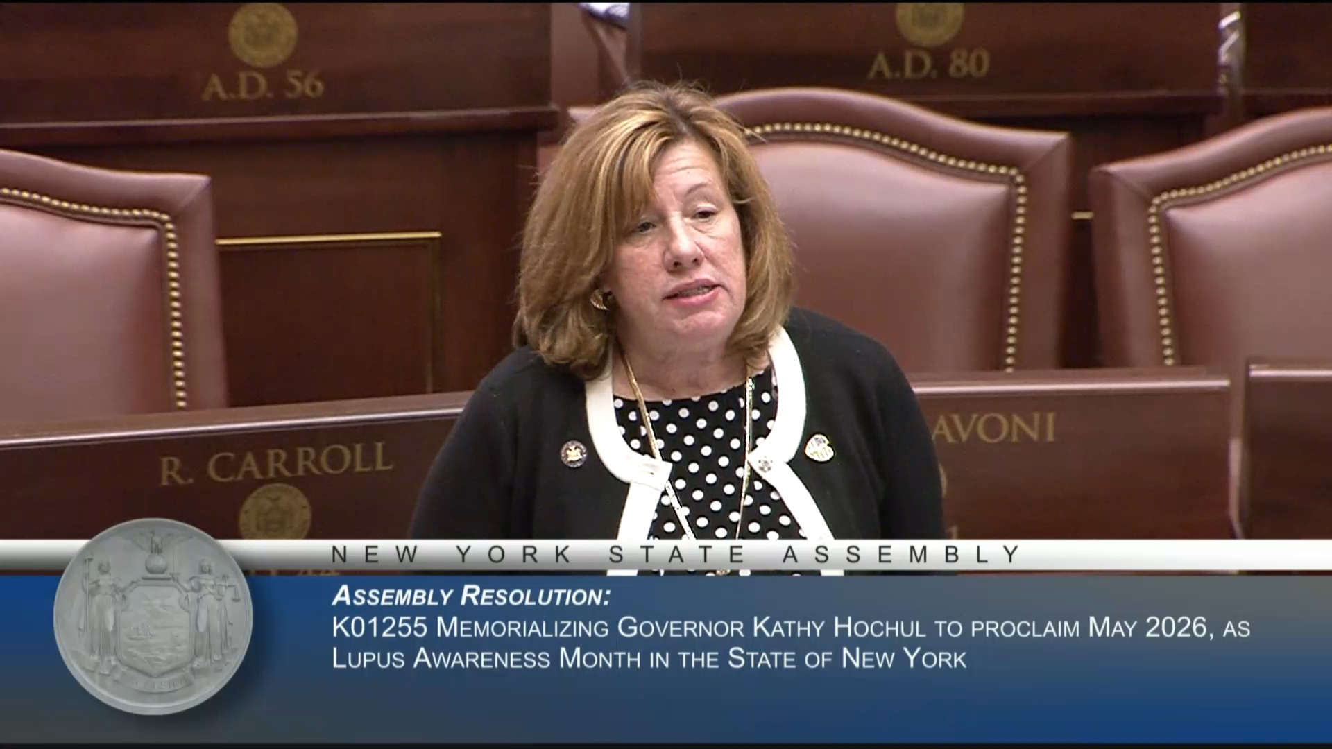 Lupus Awareness Month in NY